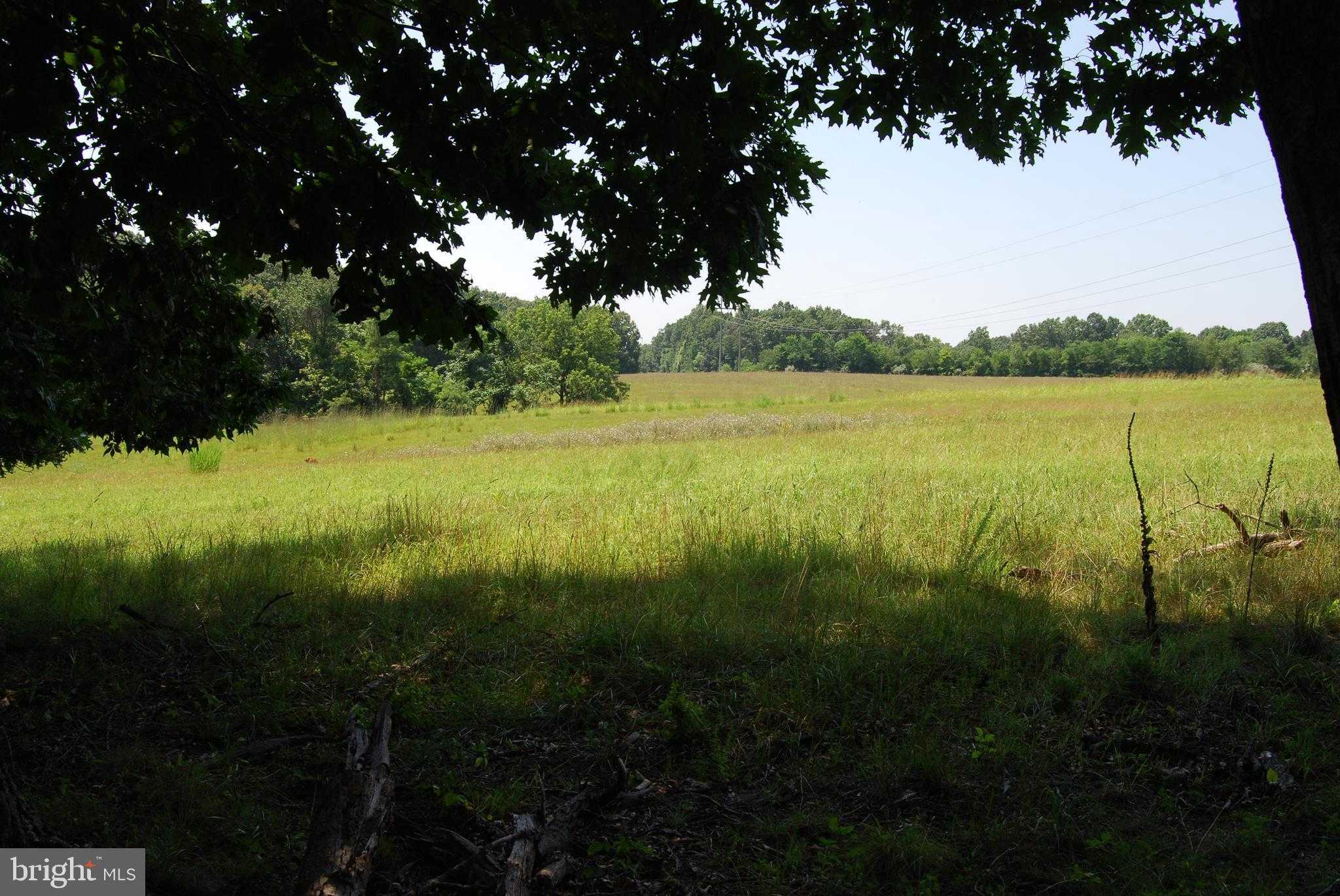 220 Stotelmyer Ln photo 32