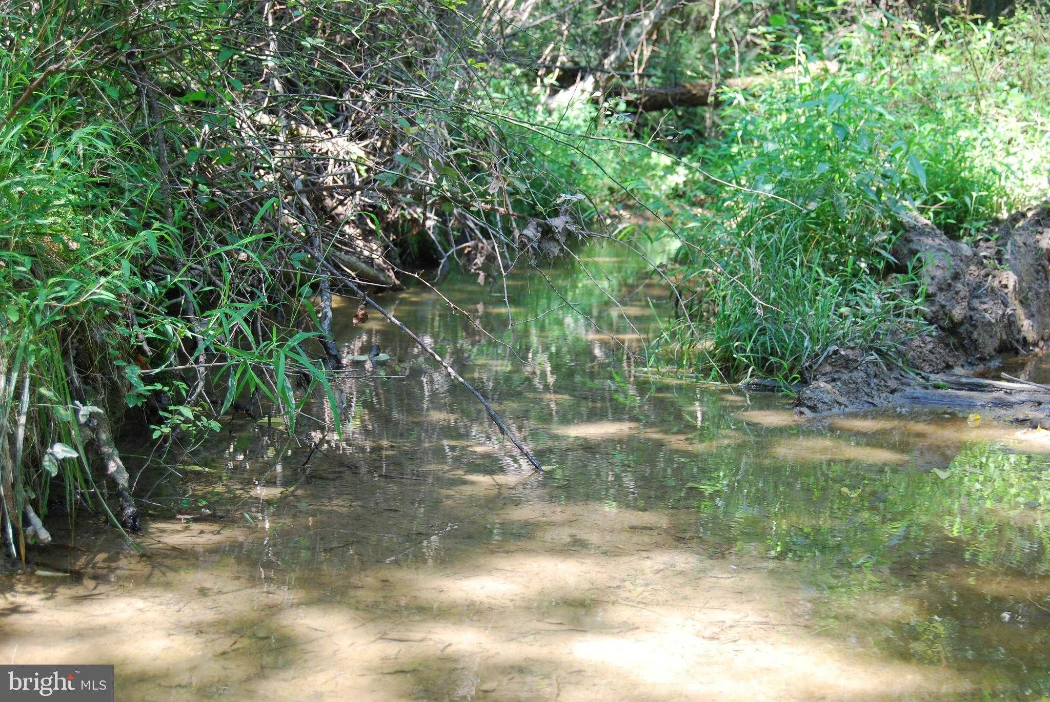 220 Stotelmyer Ln photo 37