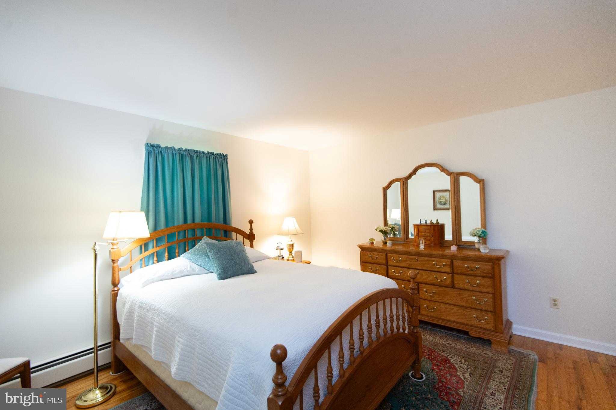 8 W Liberty St photo 19