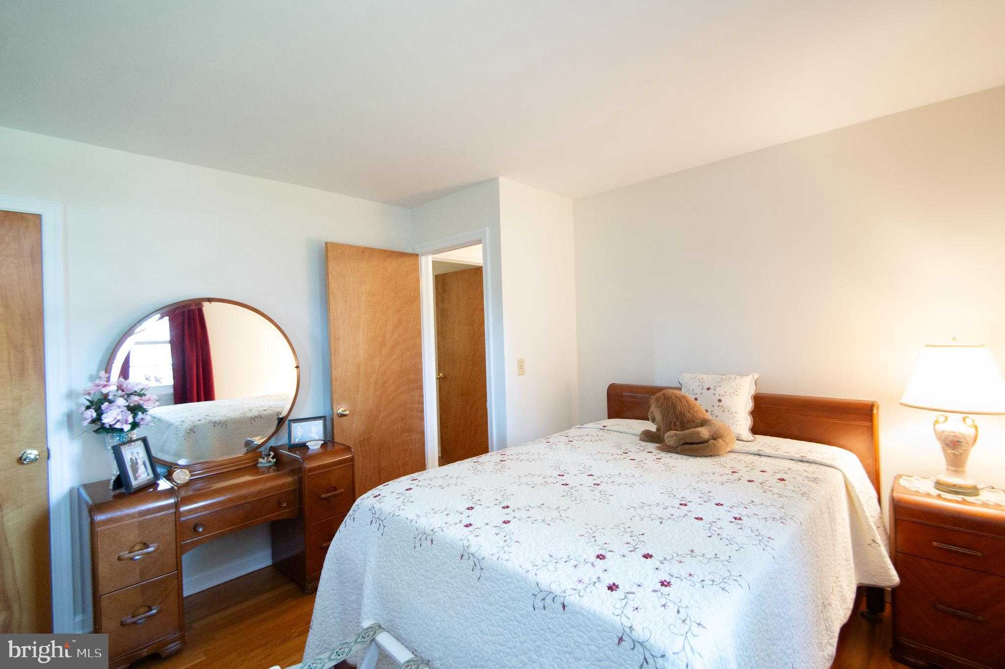 8 W Liberty St photo 24