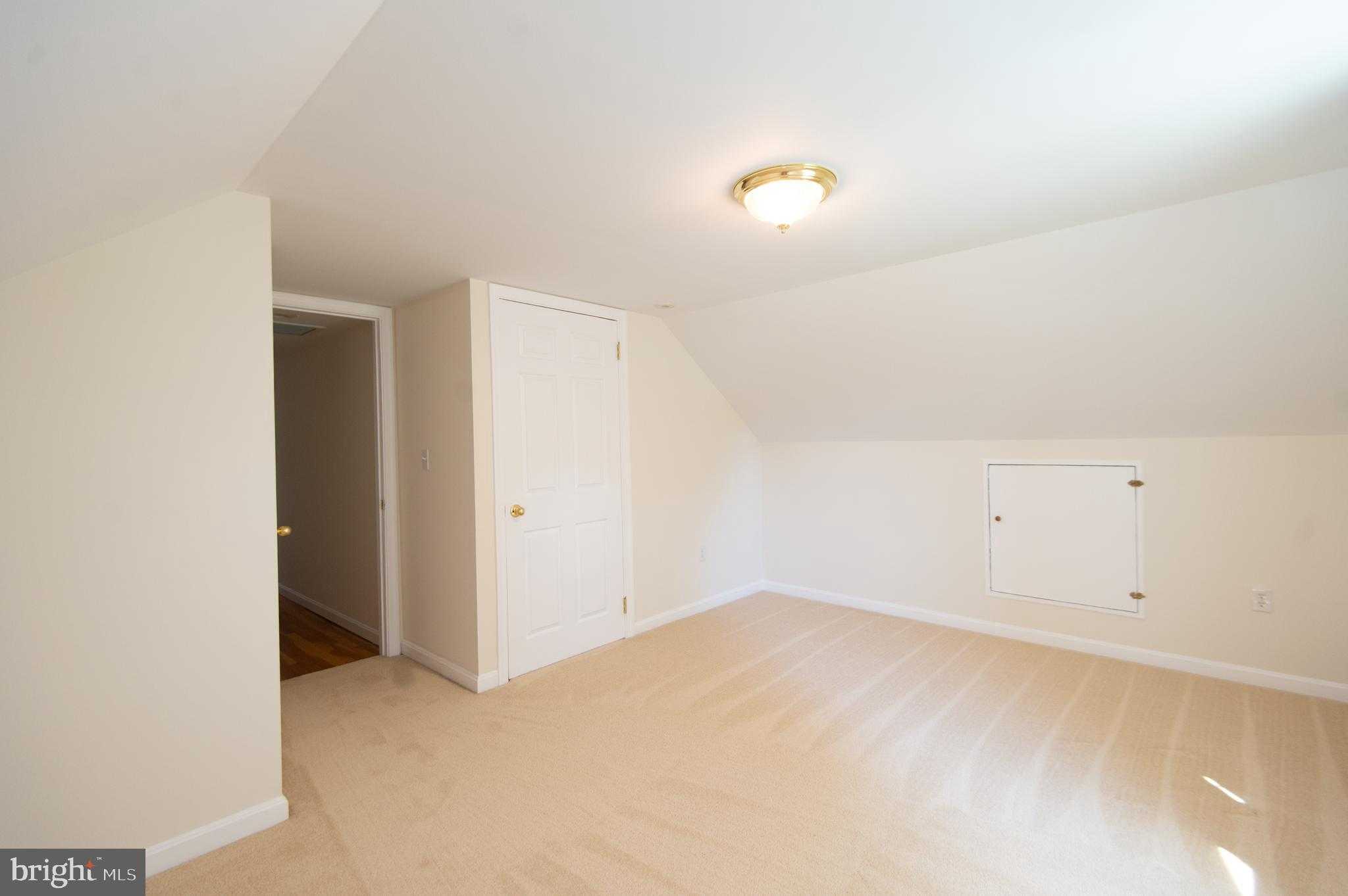 8 W Liberty St photo 33