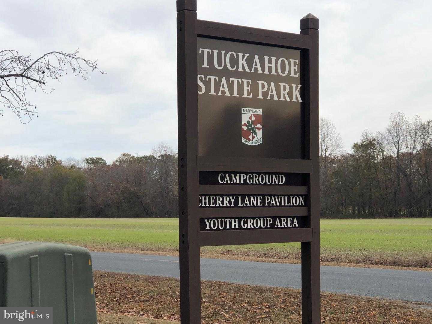 8 W Liberty St photo 55