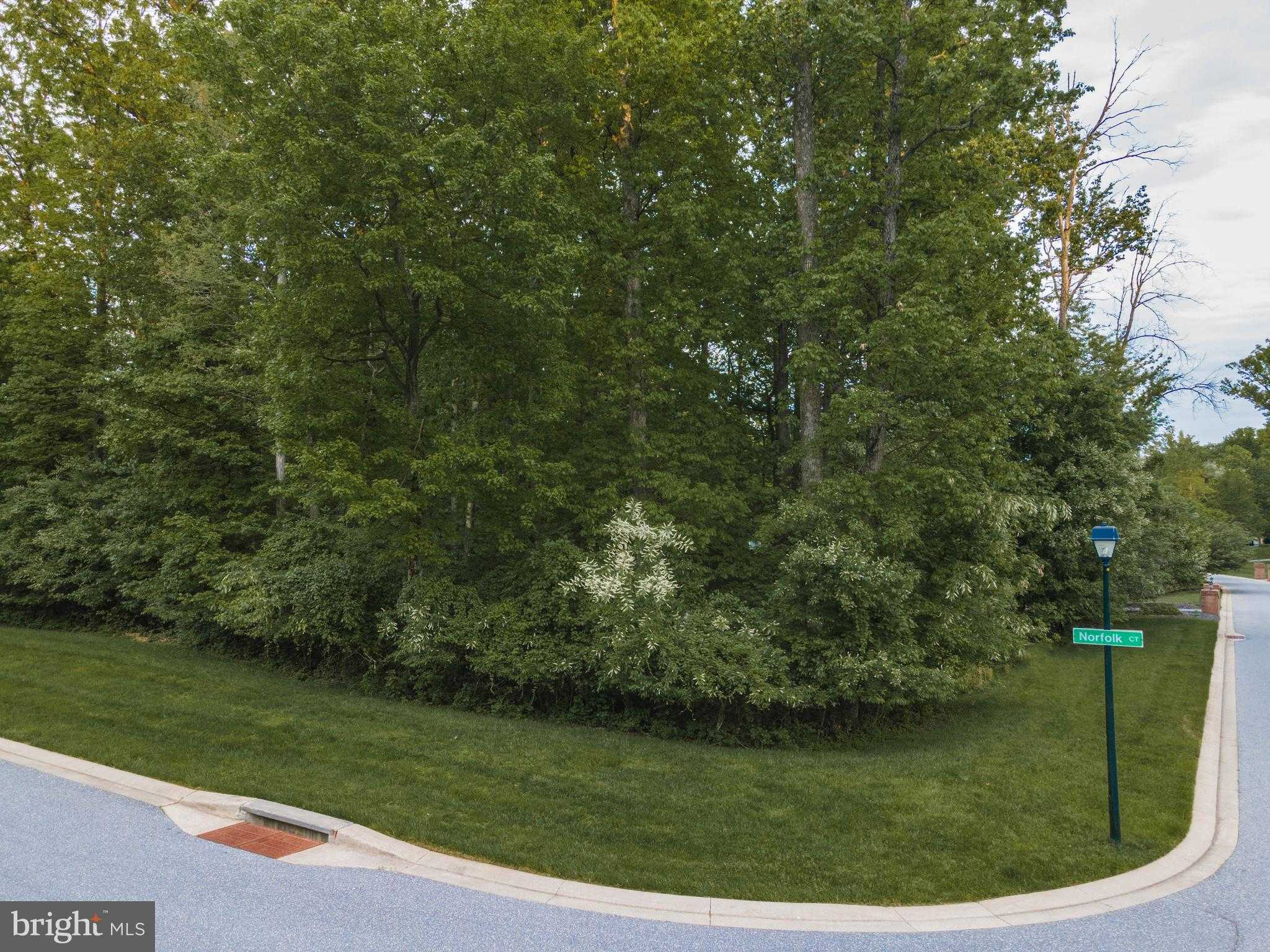 1 Norfolk CT photo 16