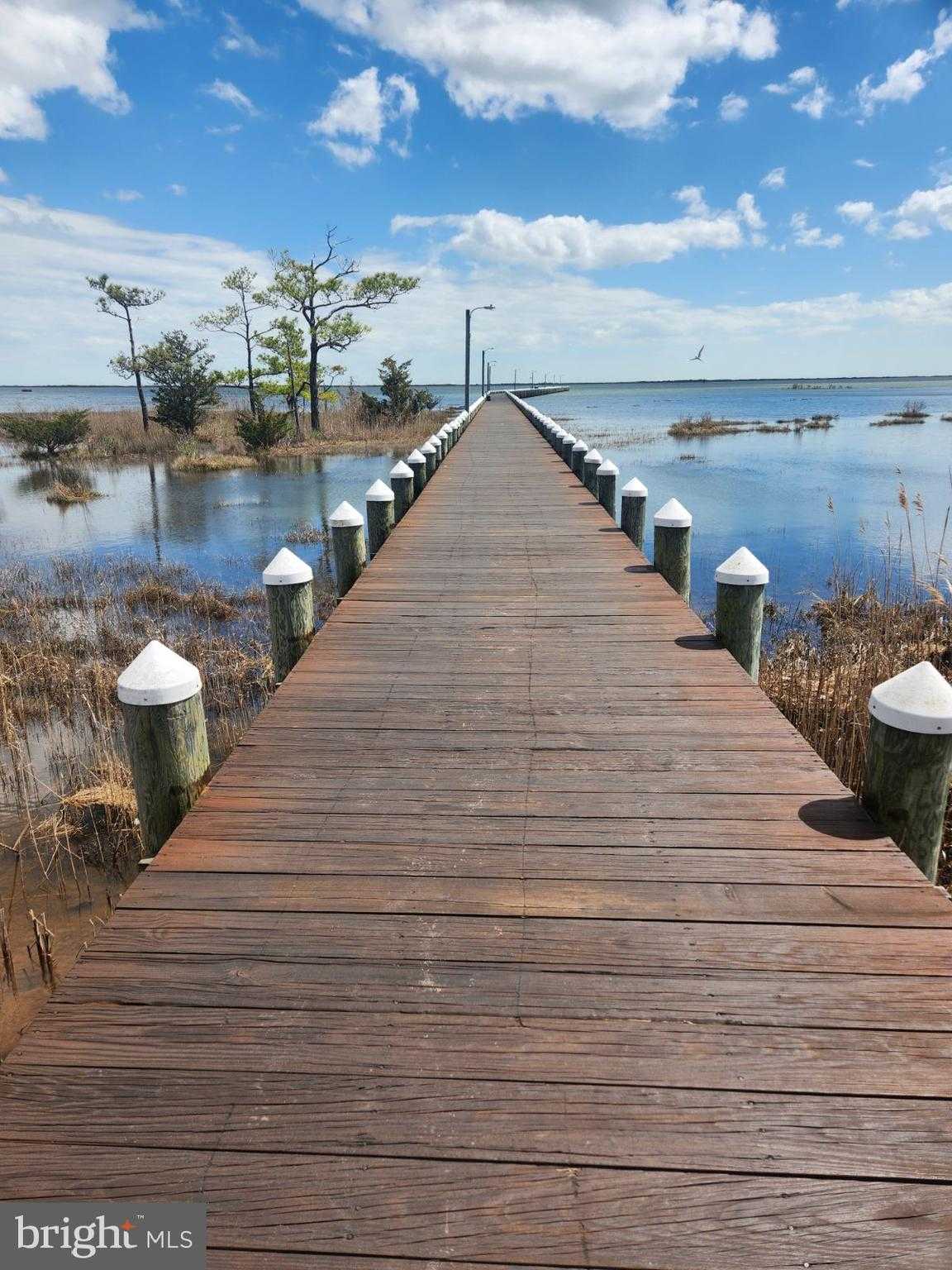 8566 N Longboat Way photo 26