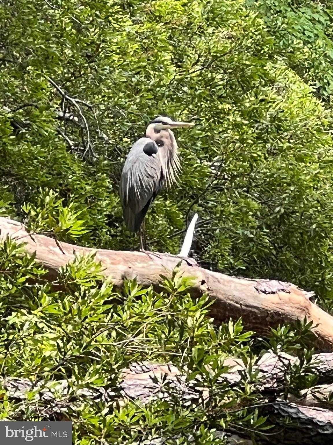 8566 N Longboat Way photo 94