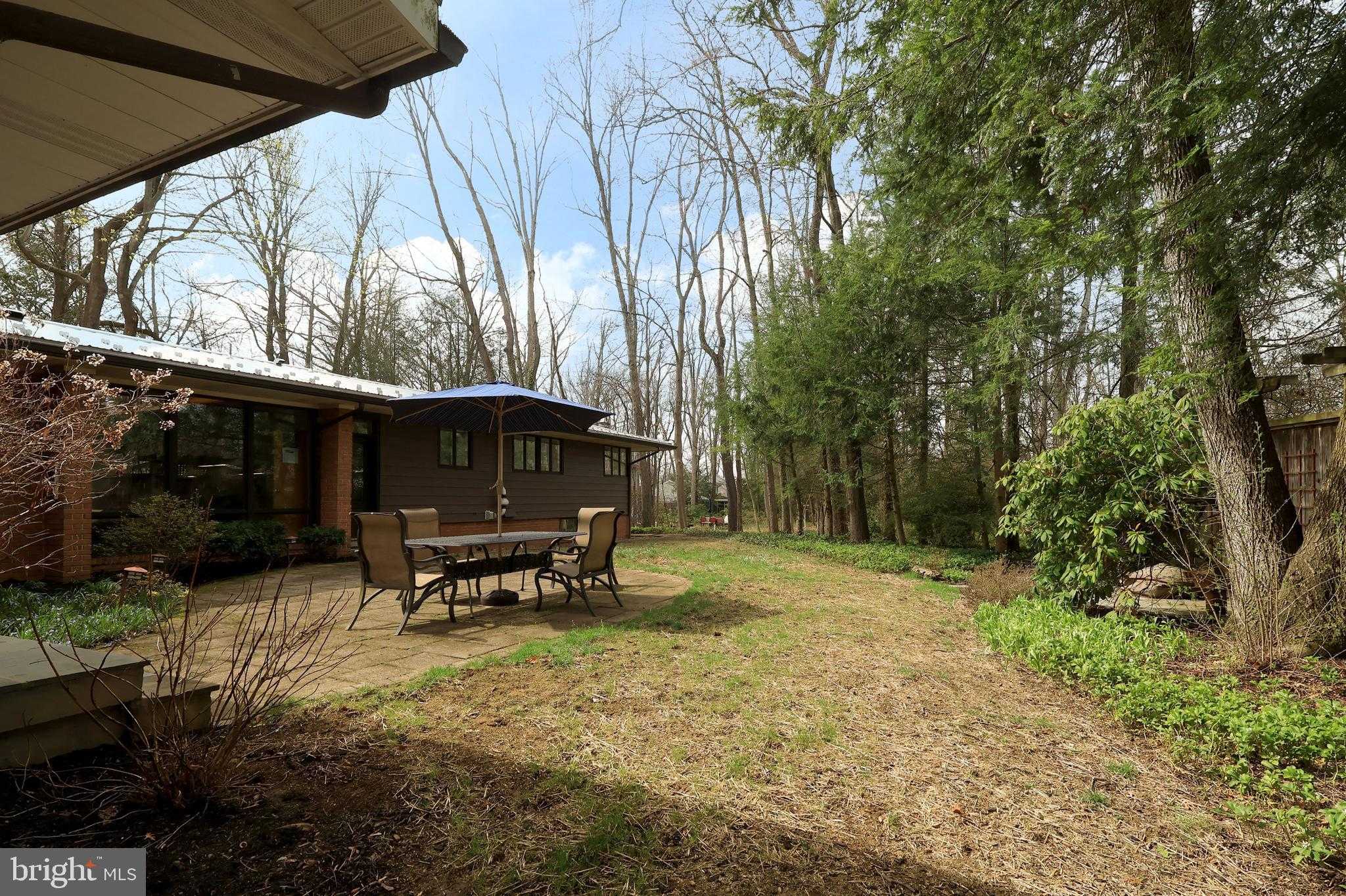 219 Ronan Dr photo 61