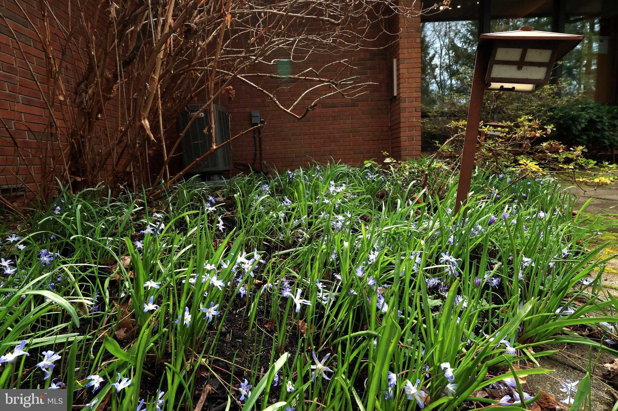 219 Ronan Dr photo 62