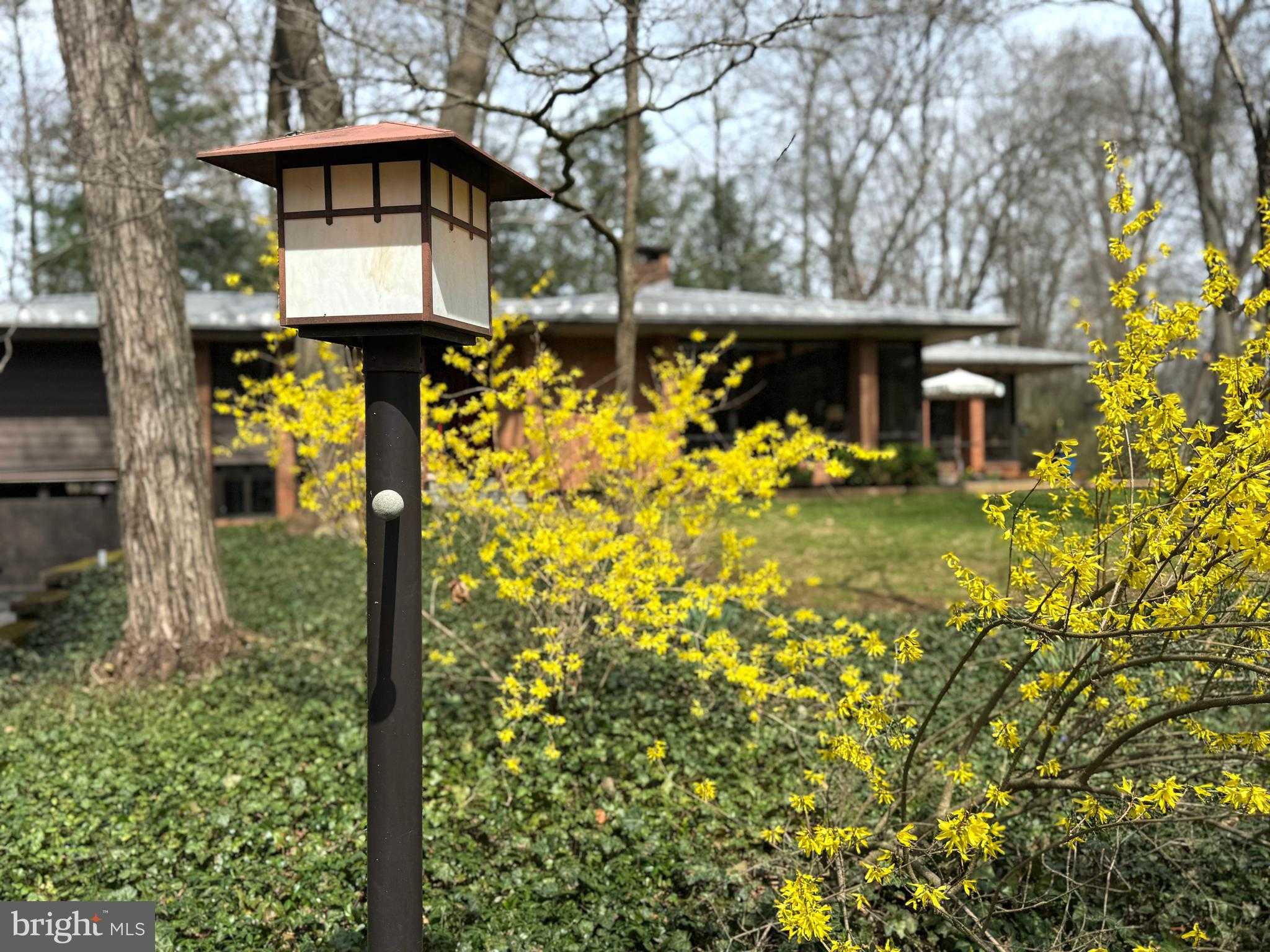 219 Ronan Dr photo 72