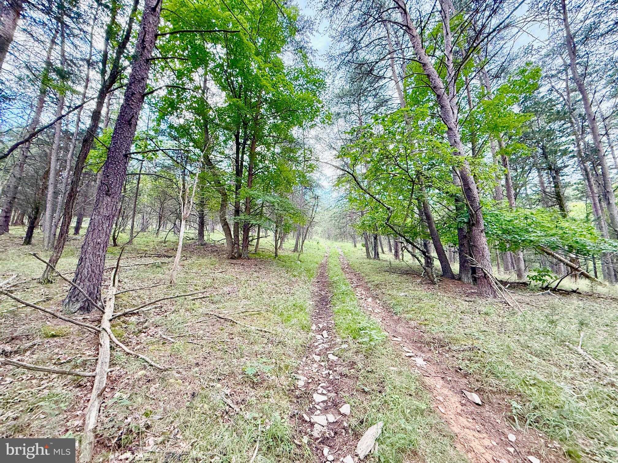 2958 Shooks Gap Rd photo 17