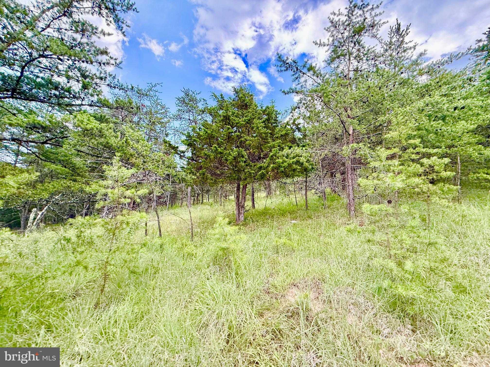 2958 Shooks Gap Rd photo 18