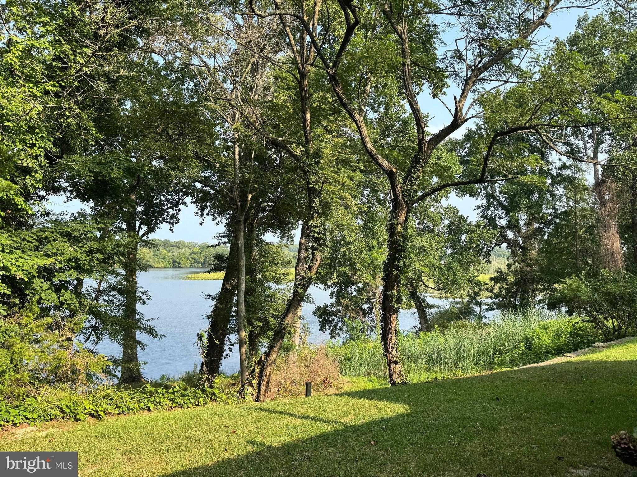 300 S 1st St photo 34