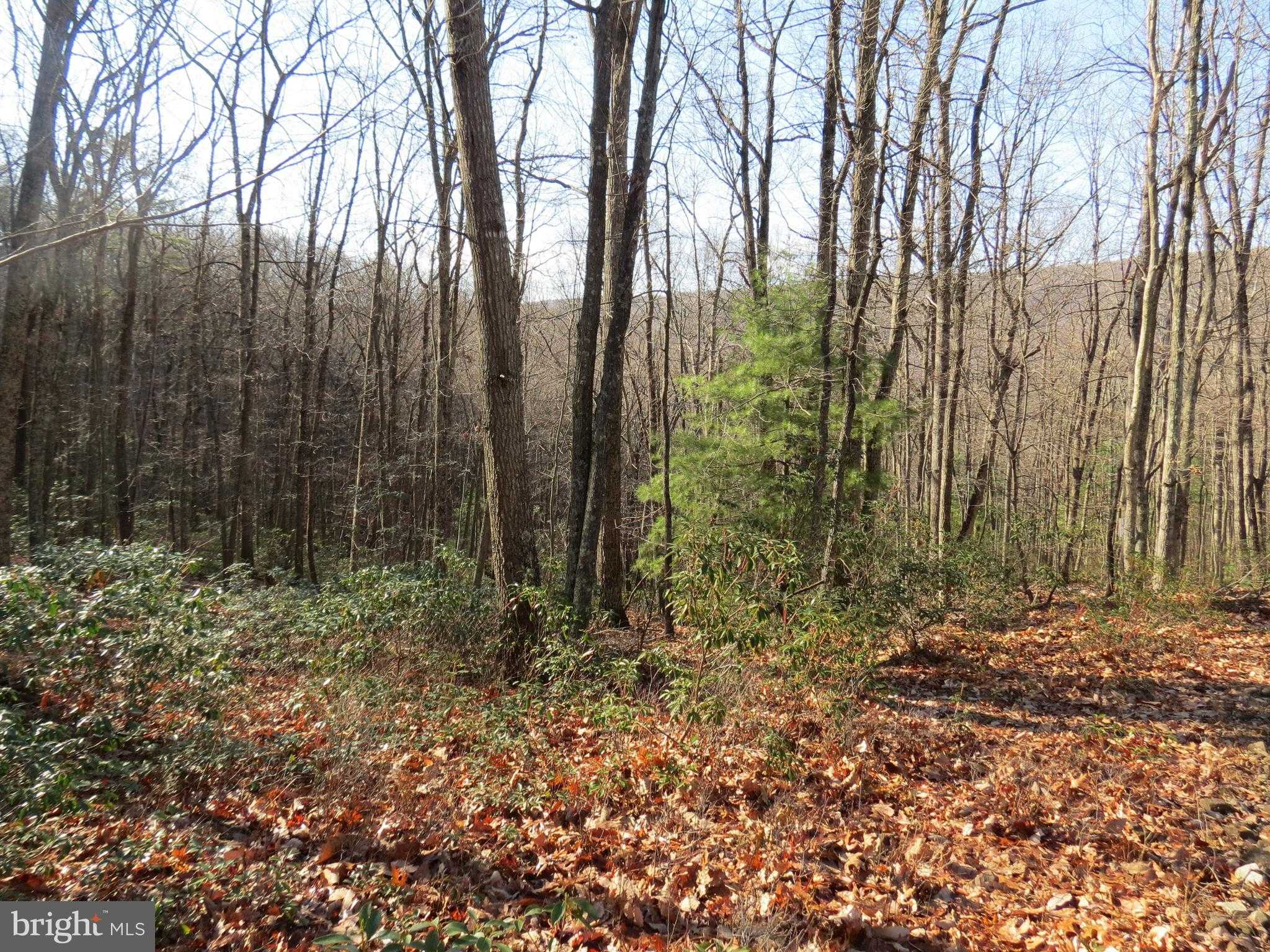 209 Cedarwood Drive Rd photo 2