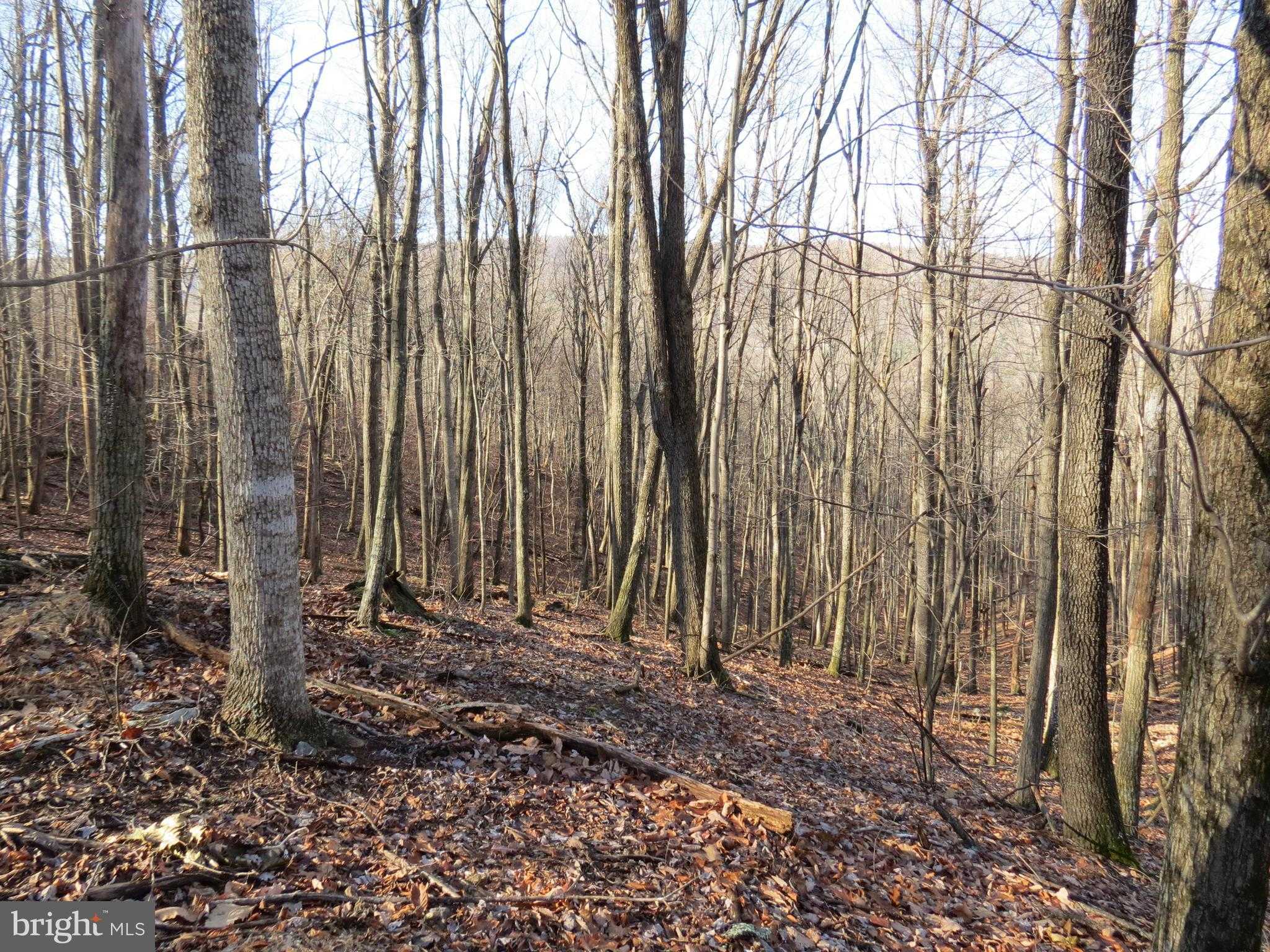 209 Cedarwood Drive Rd photo 3