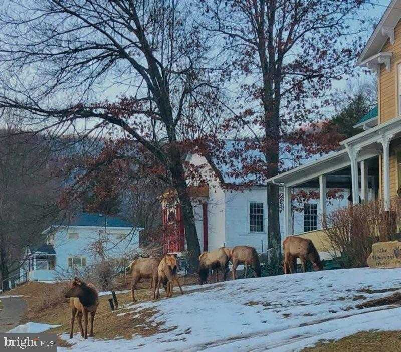 7227 3rd St photo 58