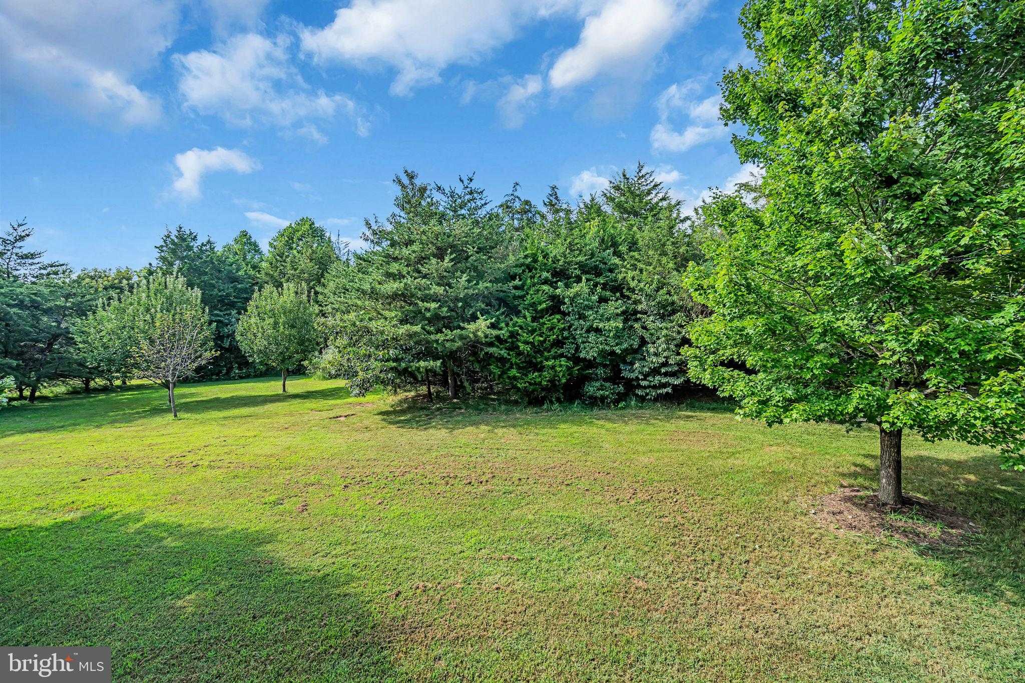 9800 Goldenberry Hill Ln photo 33