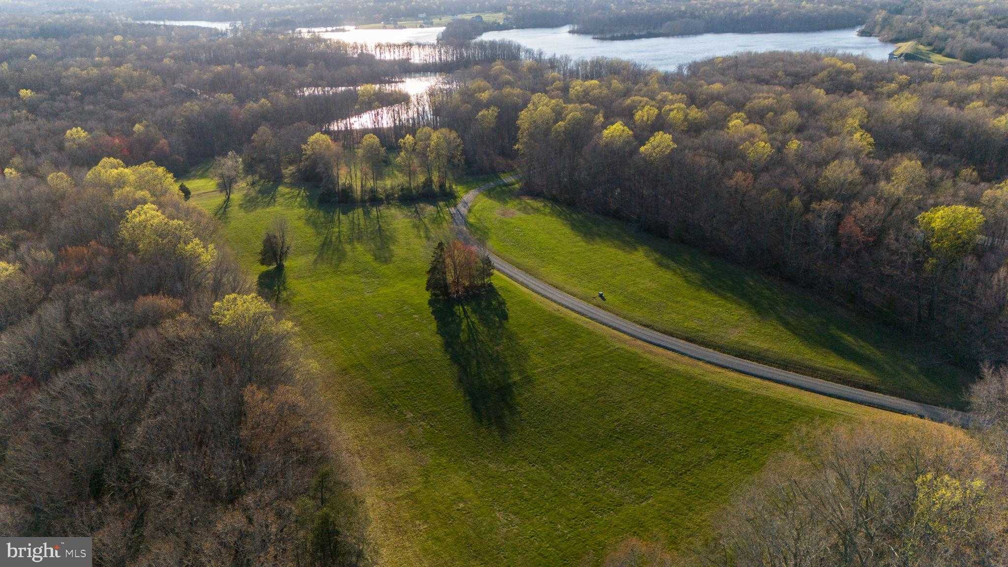 8639 Rosni Way photo 9