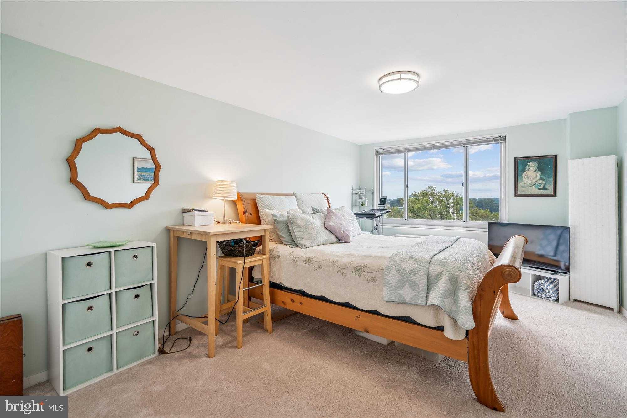 1900 Lyttonsville Rd Apt 1308 photo 21