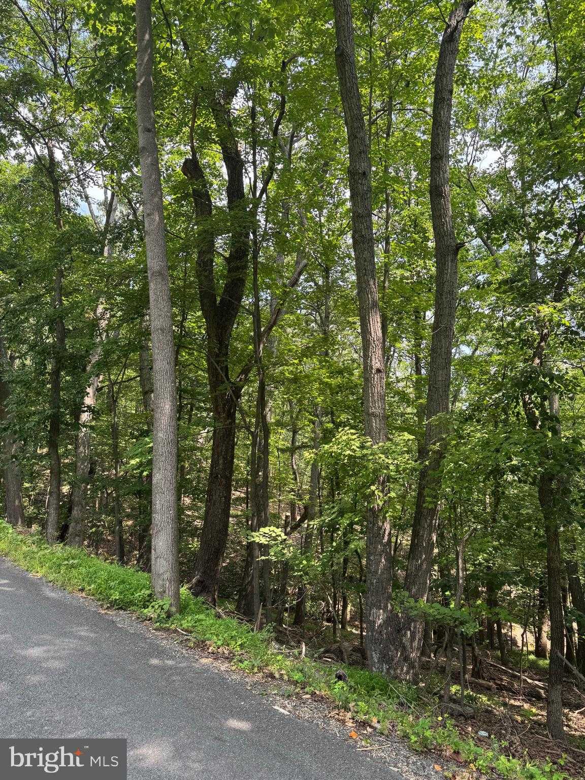 1832 Ridge Rd photo 10