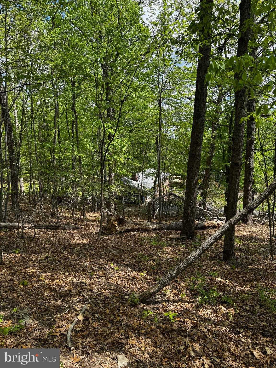 1832 Ridge Rd photo 18