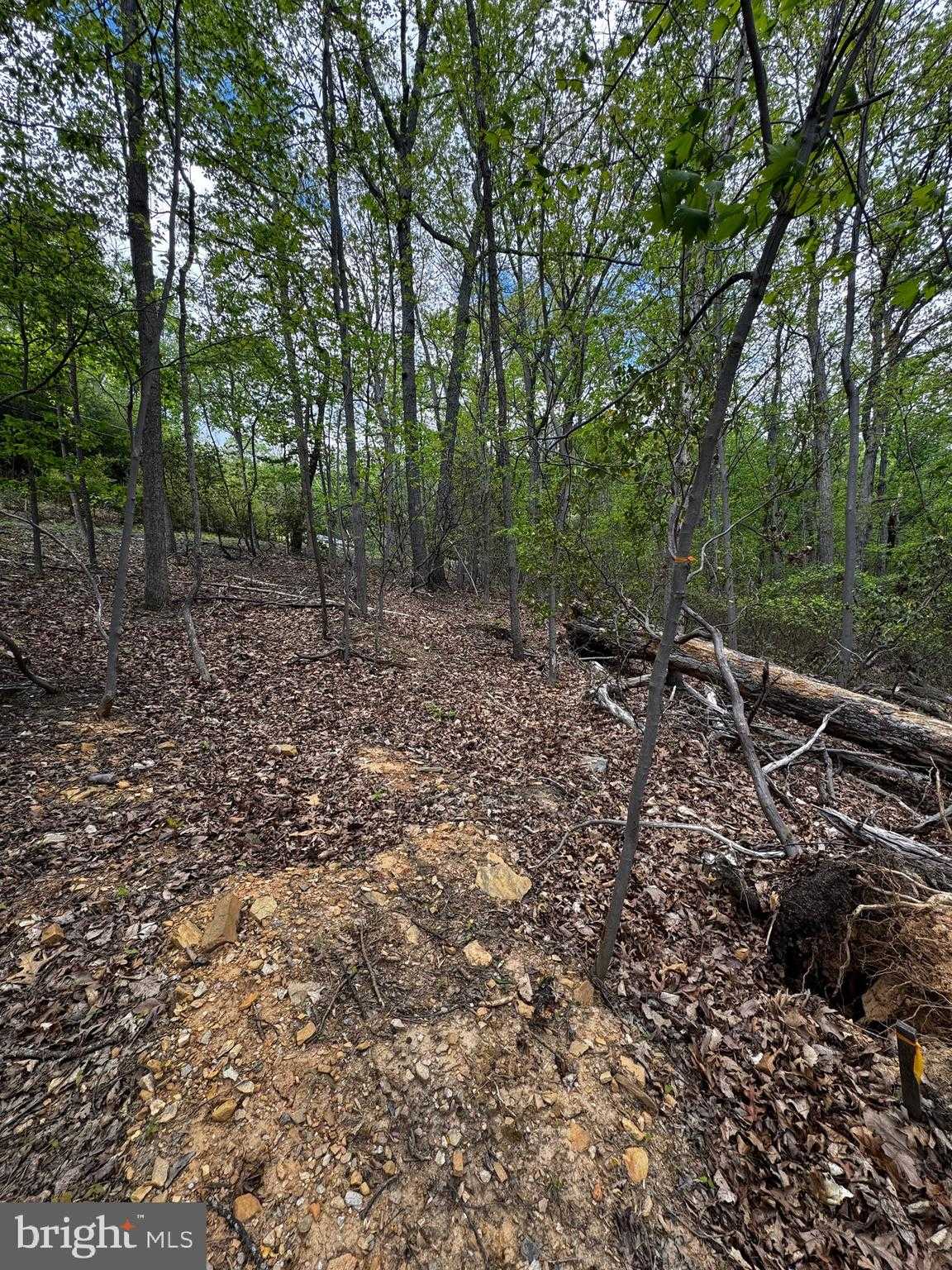 1832 Ridge Rd photo 2