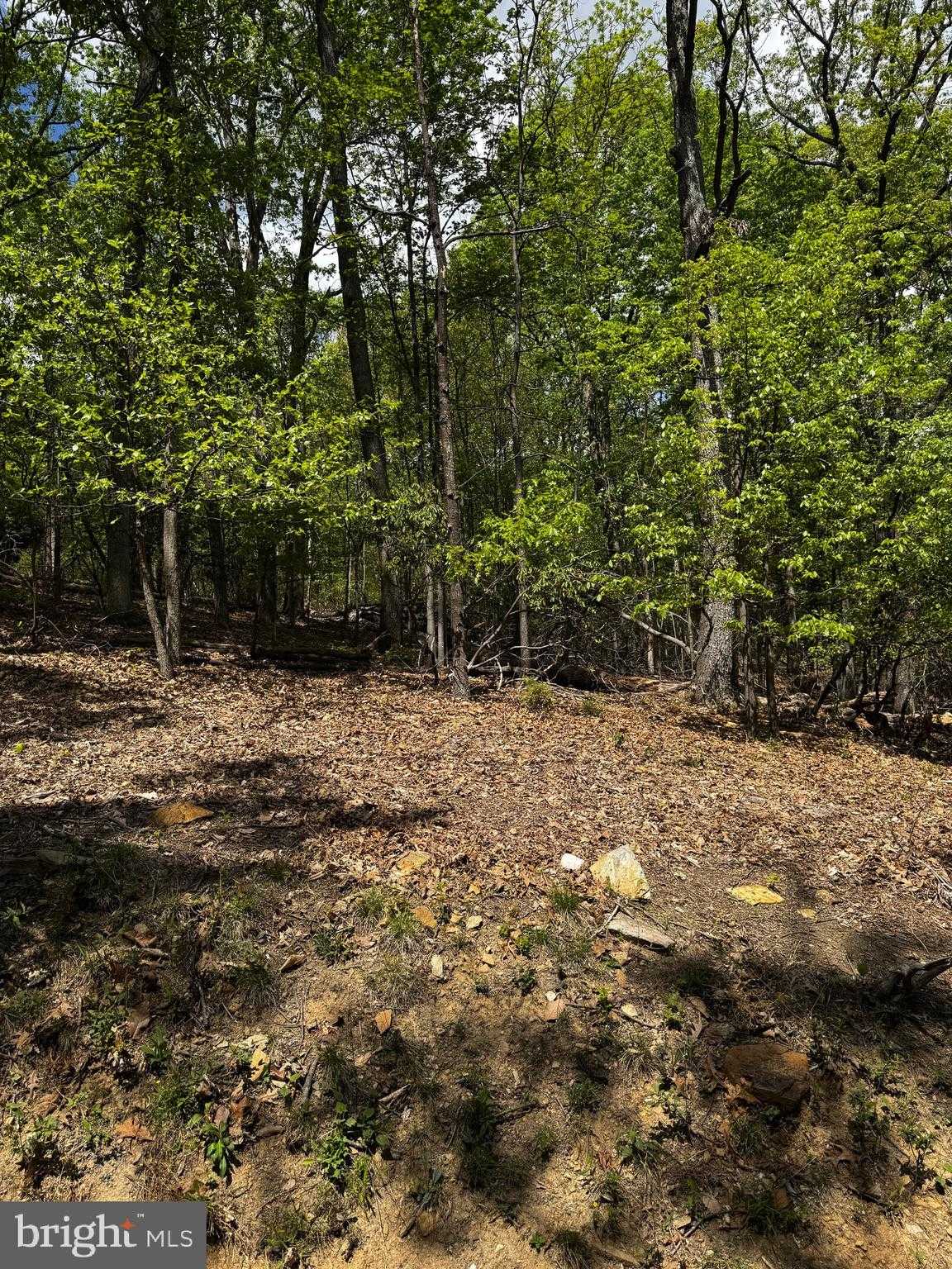 1832 Ridge Rd photo 20