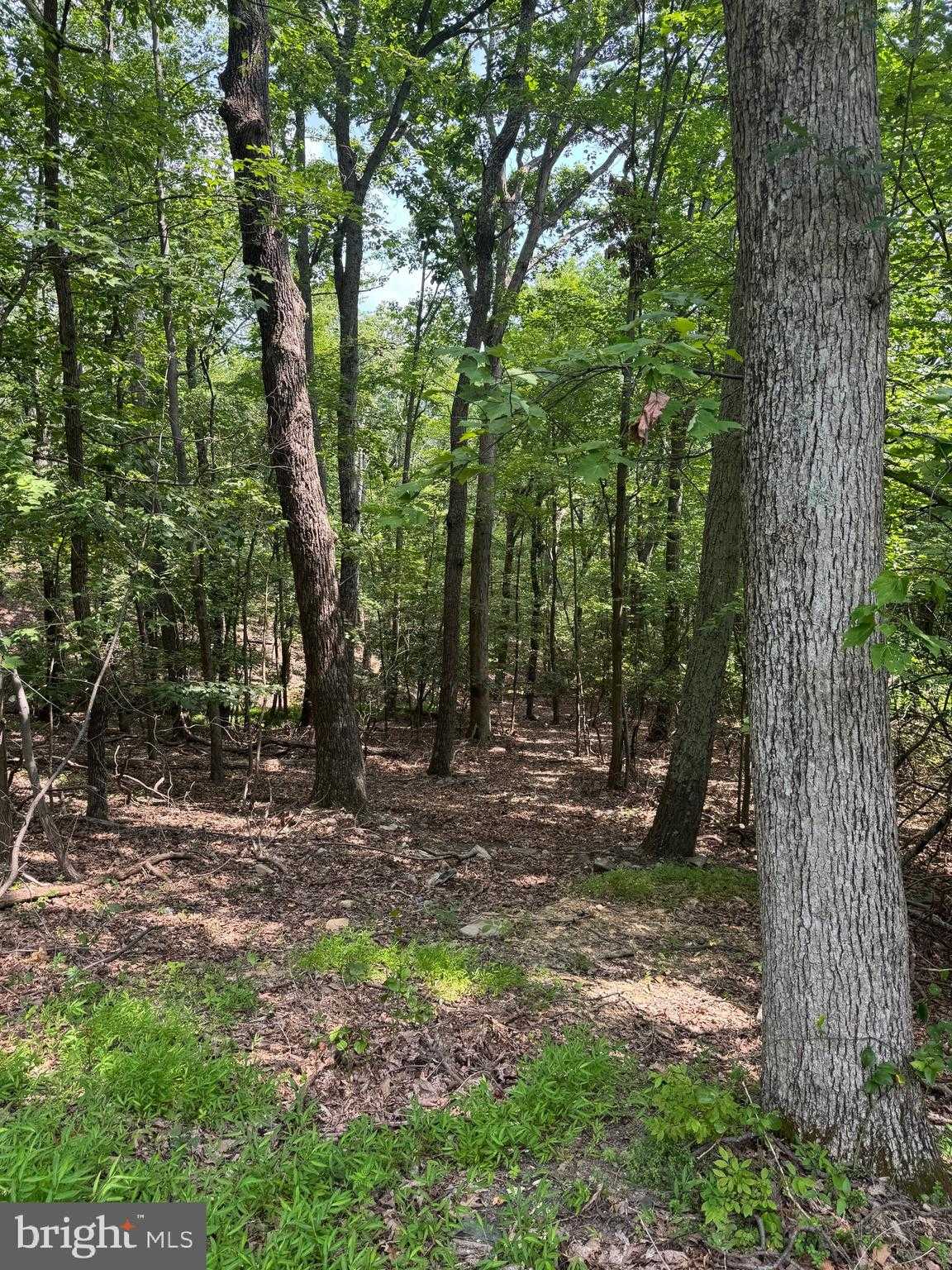 1832 Ridge Rd photo 8