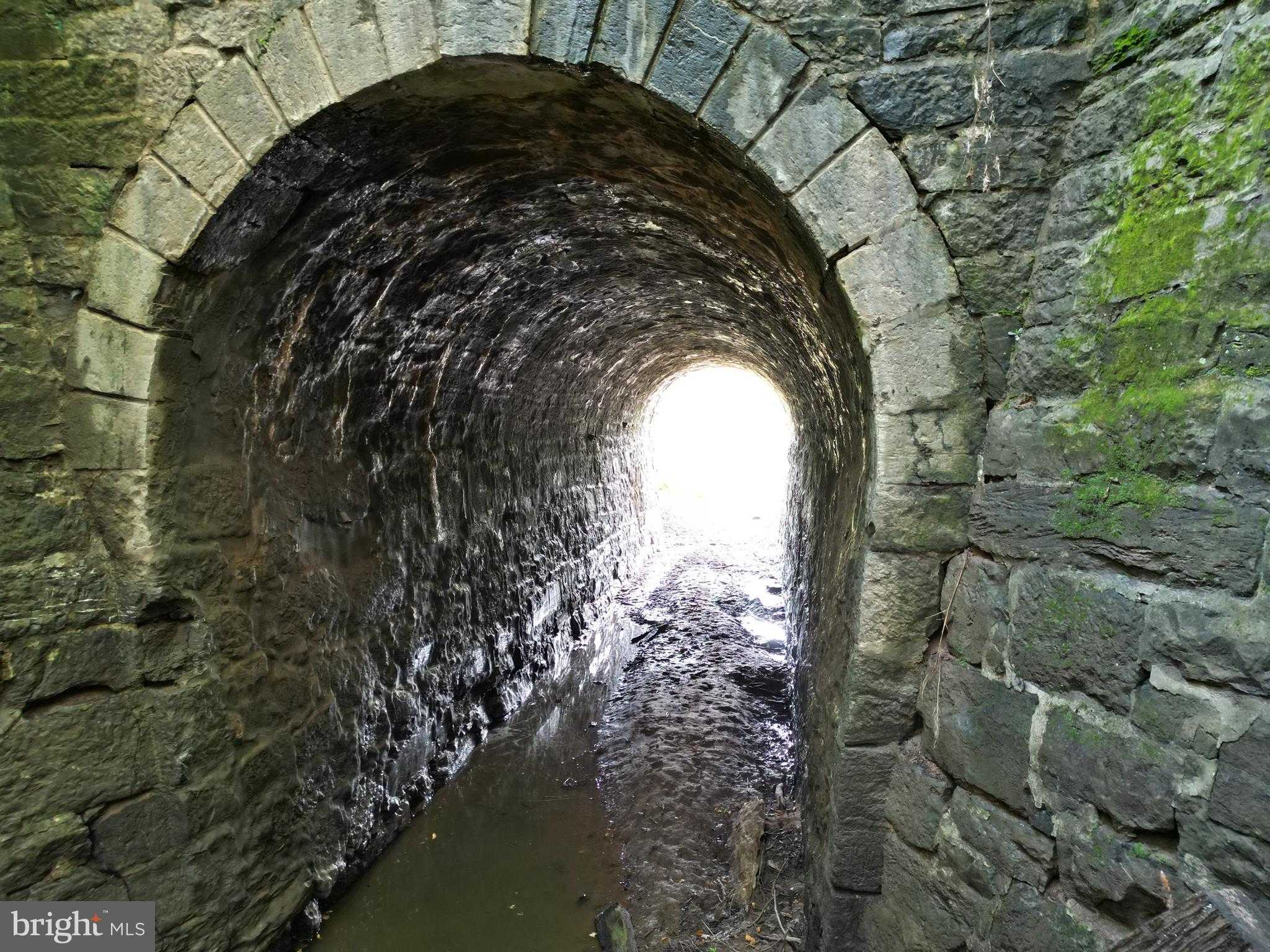 2251 Householder Rd photo 4