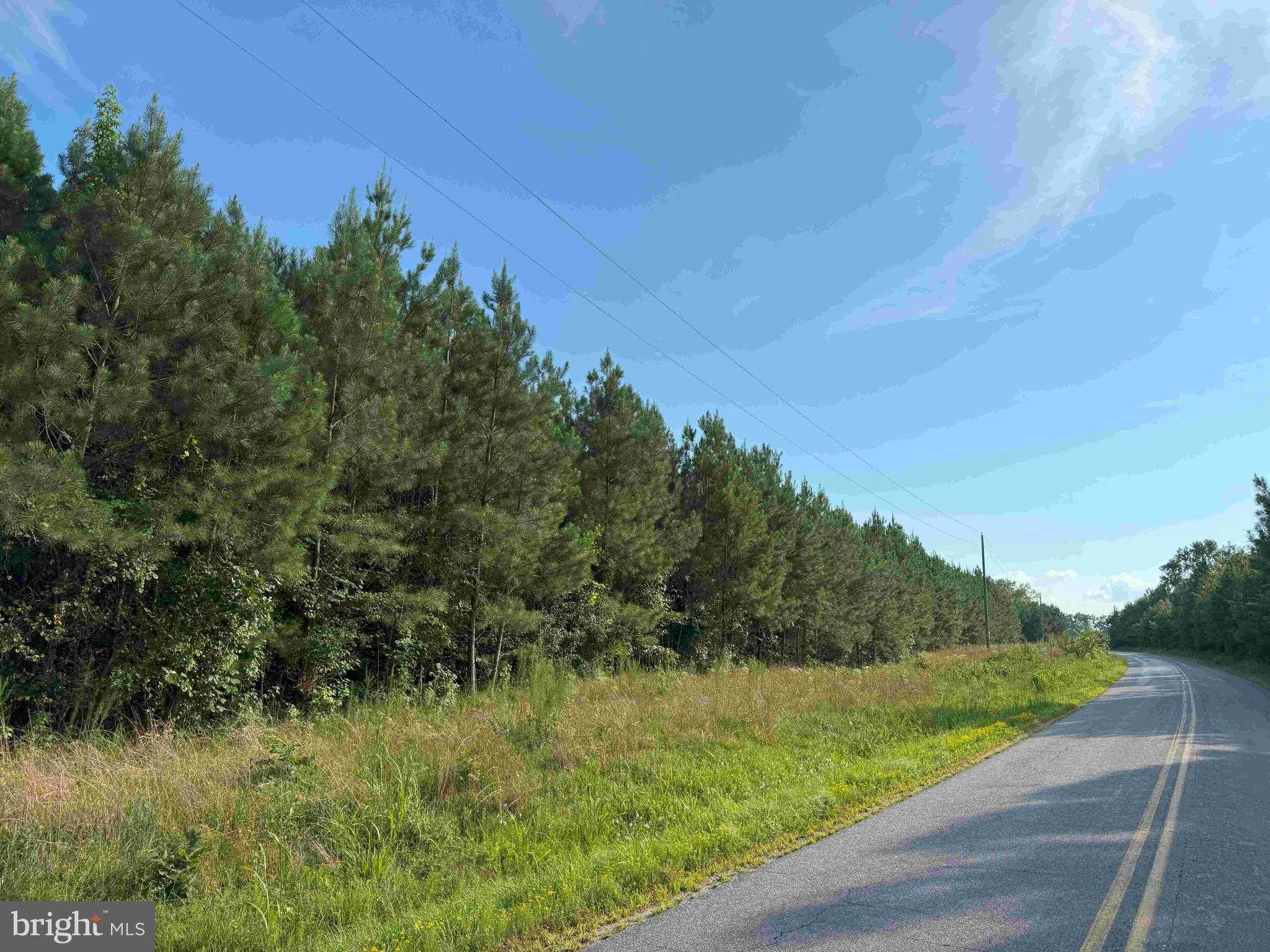 Southampton Rd photo 20