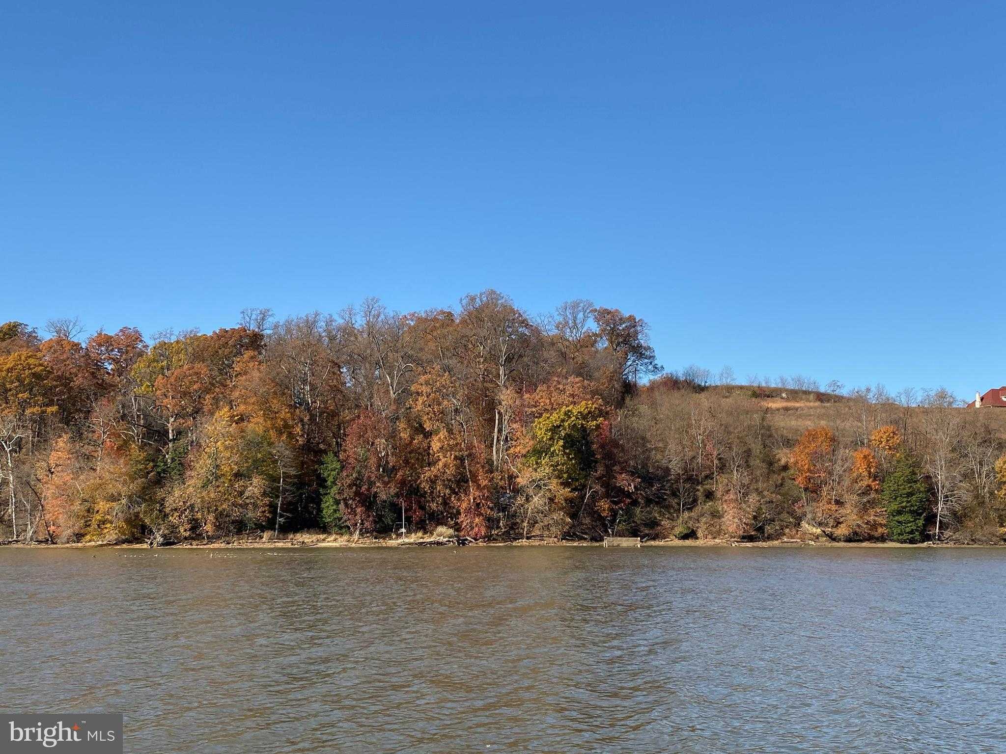 10806 Belmont Blvd photo 3