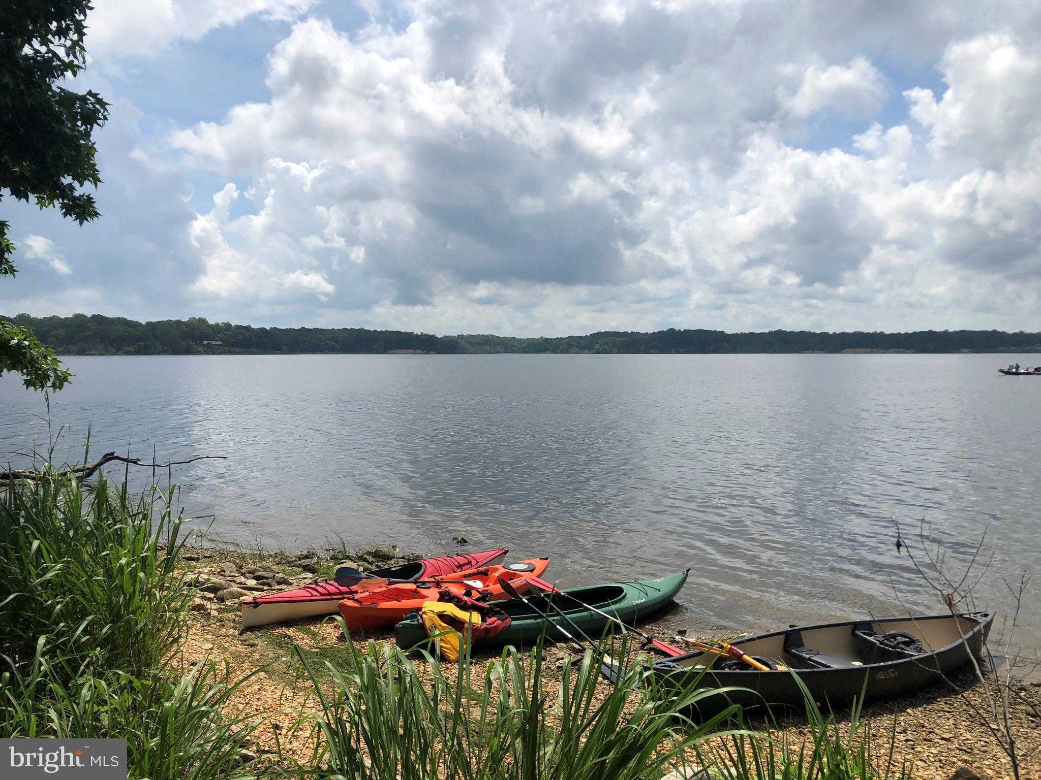 10806 Belmont Blvd photo 6