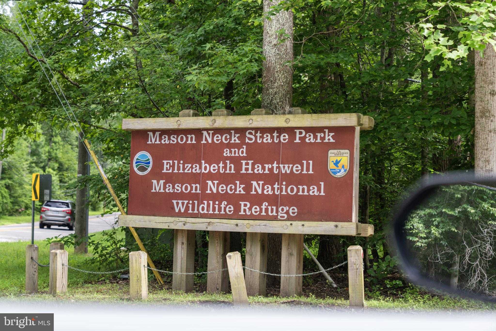 10806 Belmont Blvd photo 8