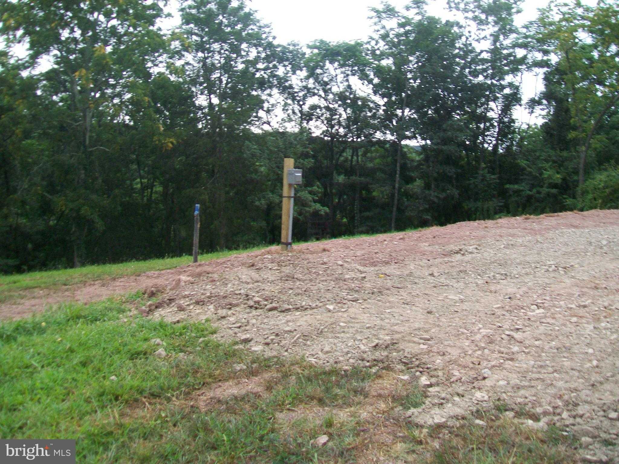 1442 Feller Dr photo 4