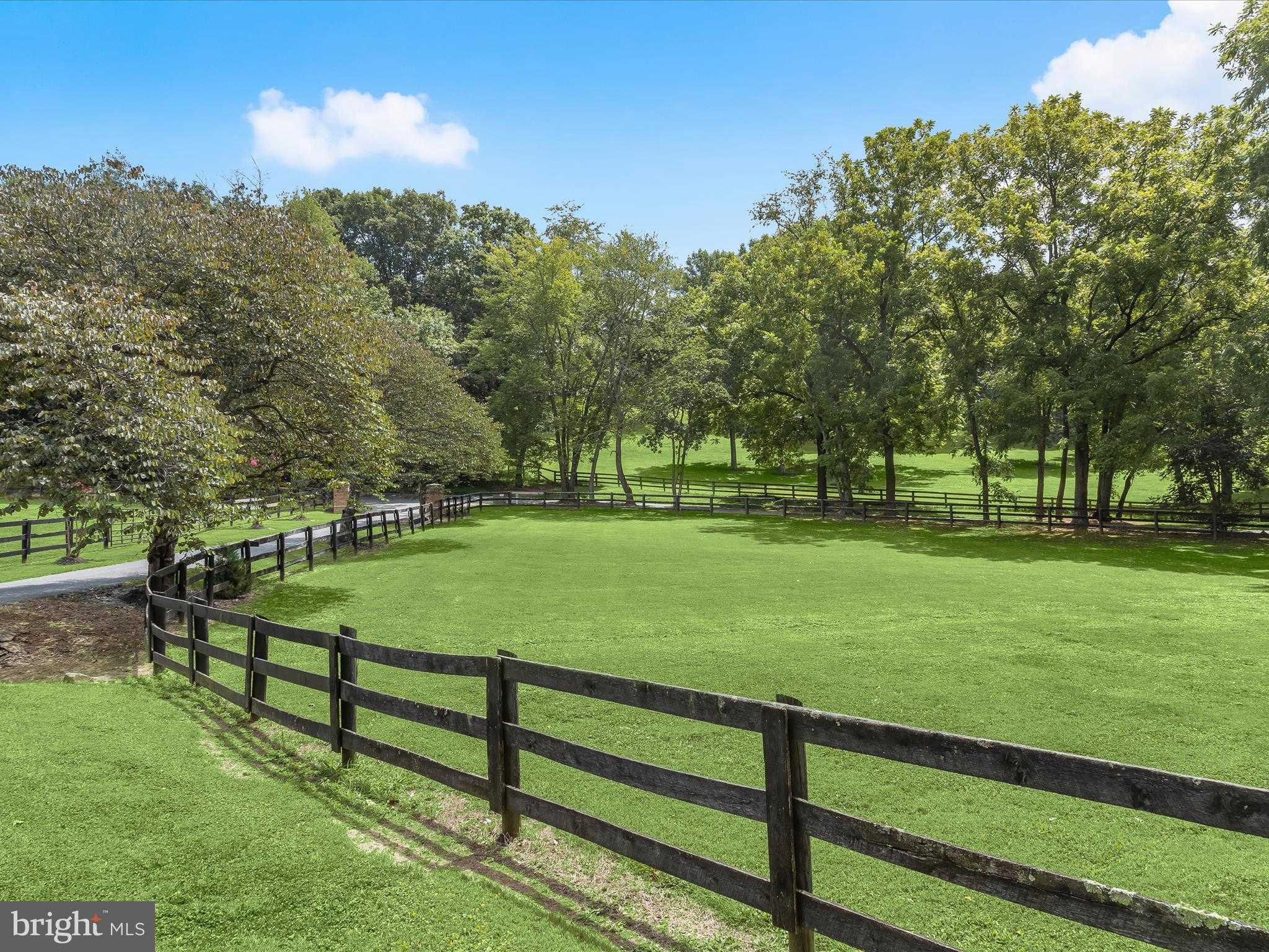 10901 Moxley Rd photo 7