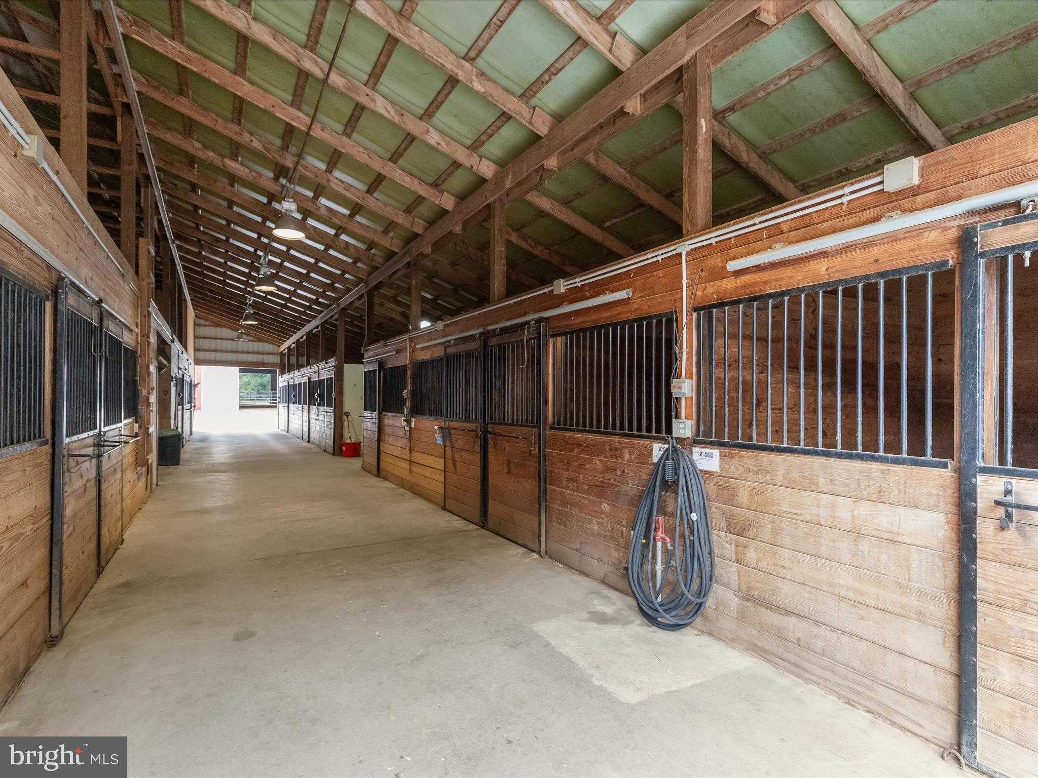 10901 Moxley Rd photo 71