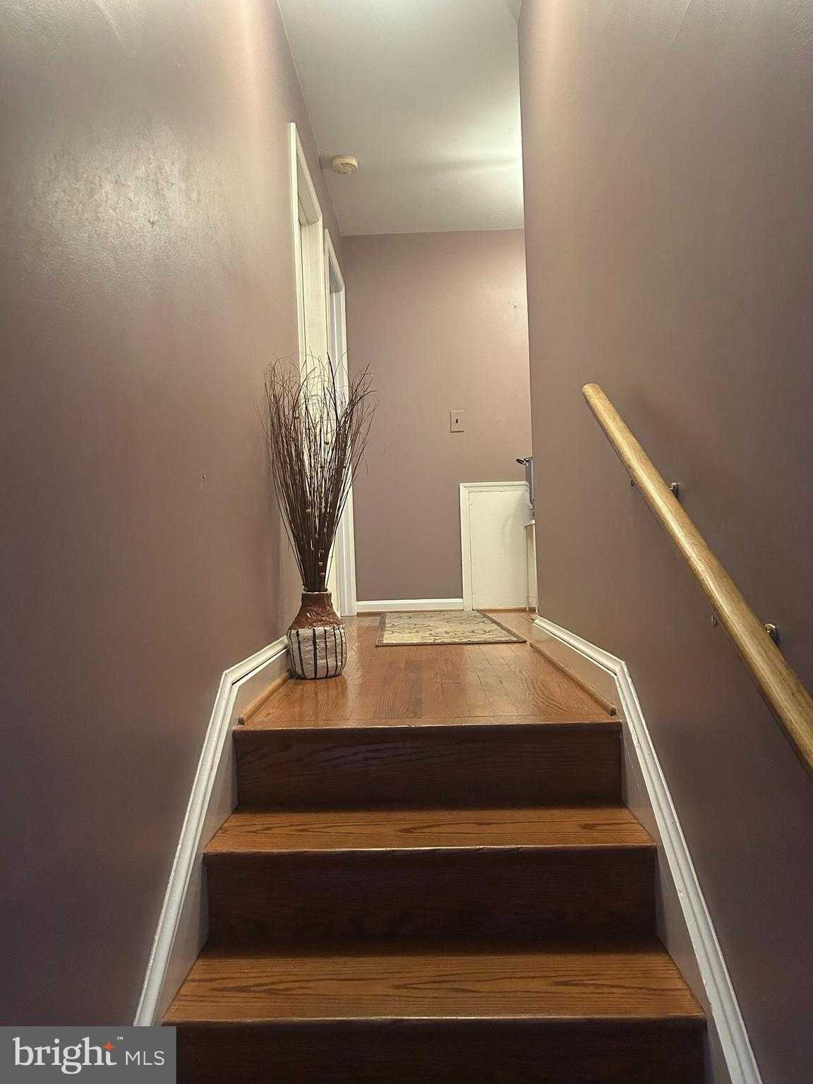 11500 Chantilly Ln photo 5