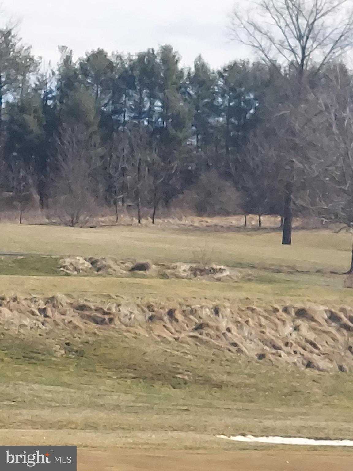 Bowling Green Rd photo 6