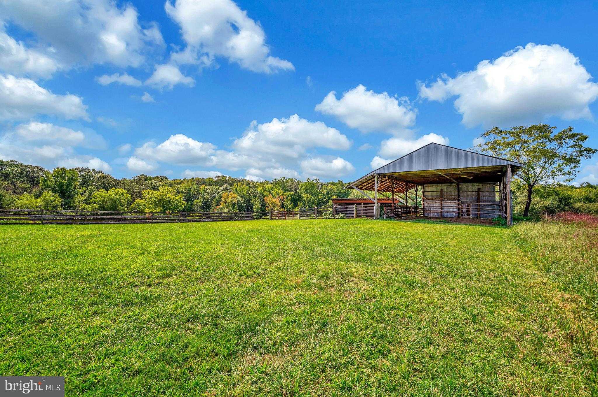 1306 Hawkins Ln photo 54