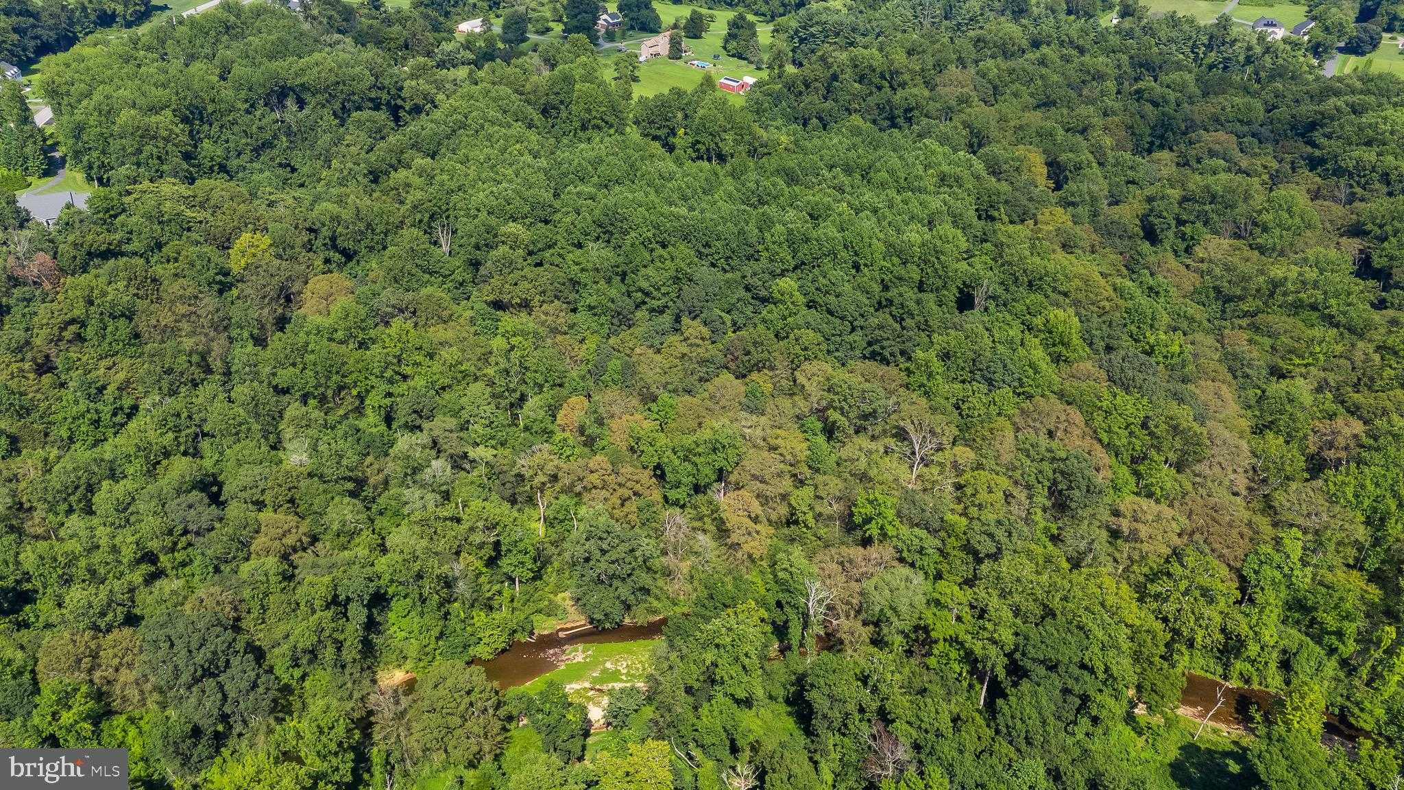 928 Fenario Cir photo 72