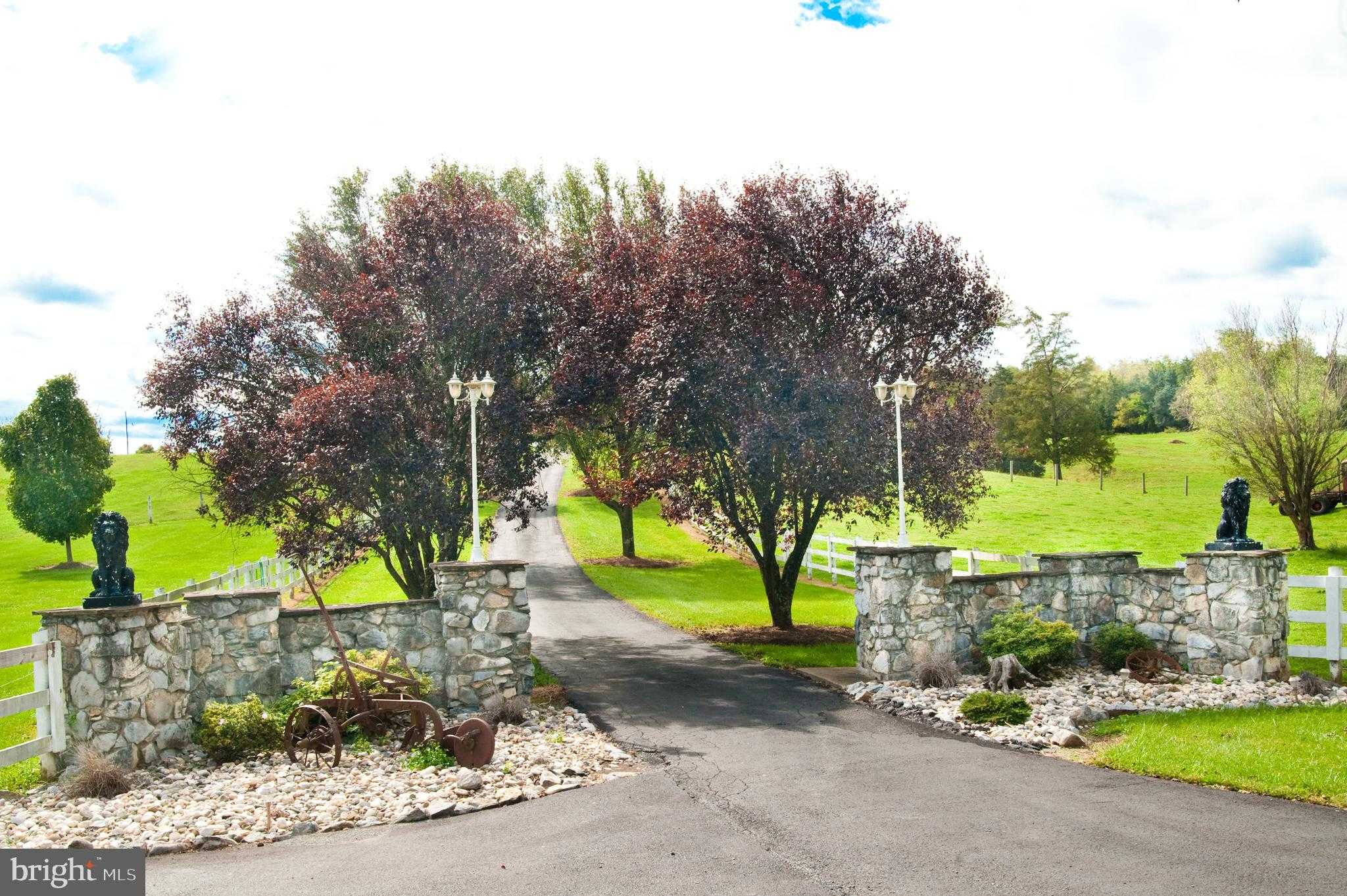 590 Carlyle Rd photo 2