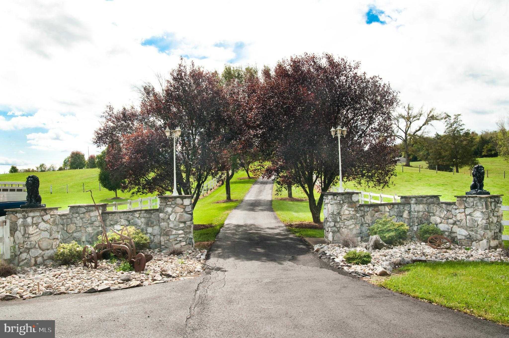 590 Carlyle Rd photo 3