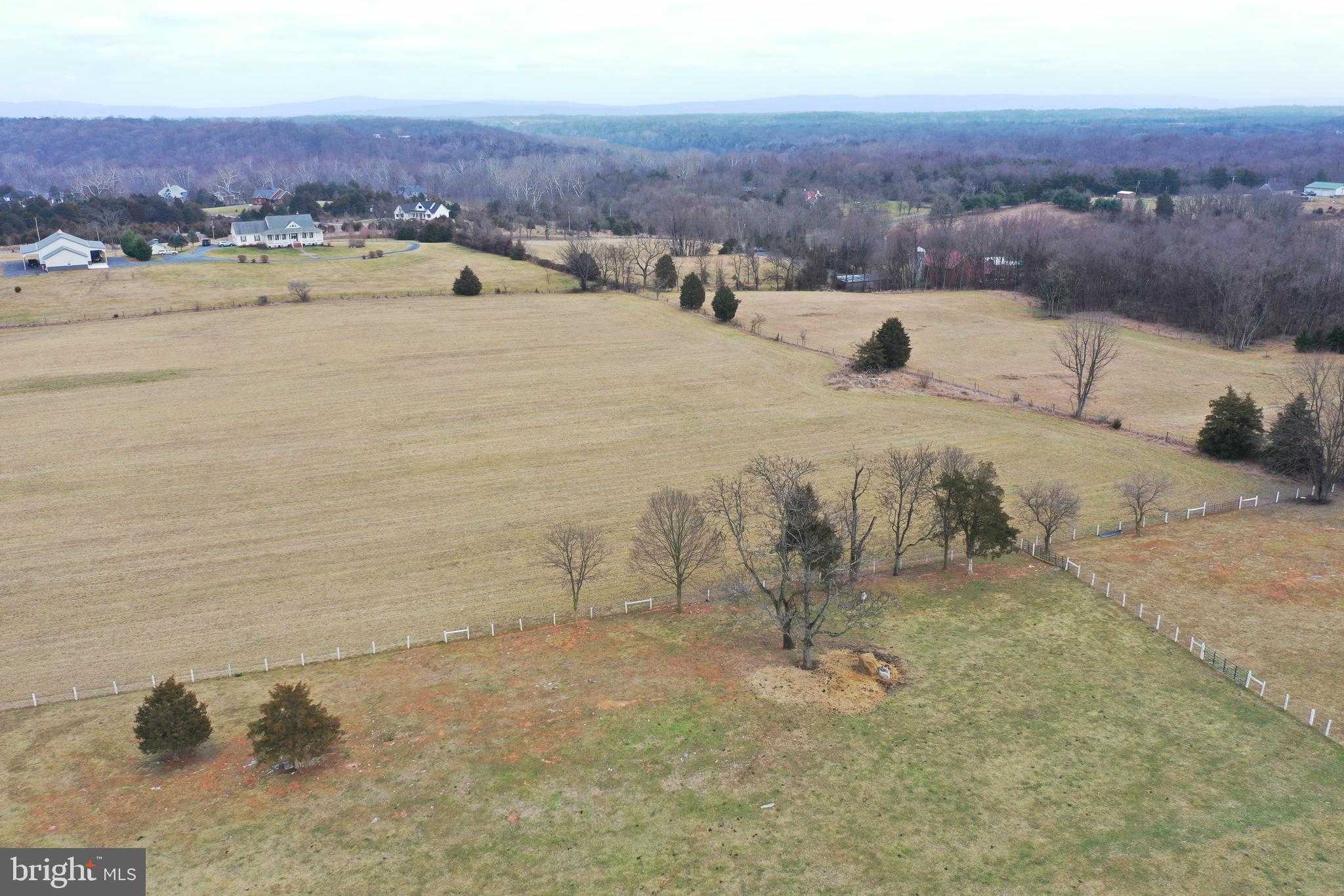 590 Carlyle Rd photo 13