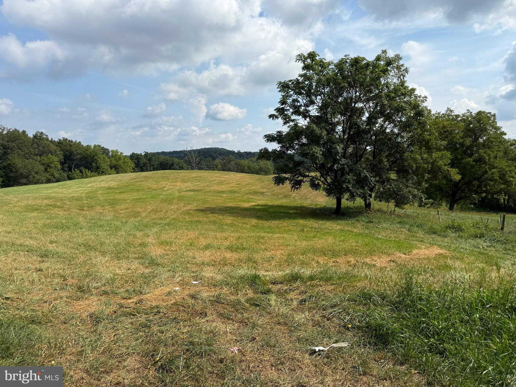 1309 Trevanion Rd photo 59