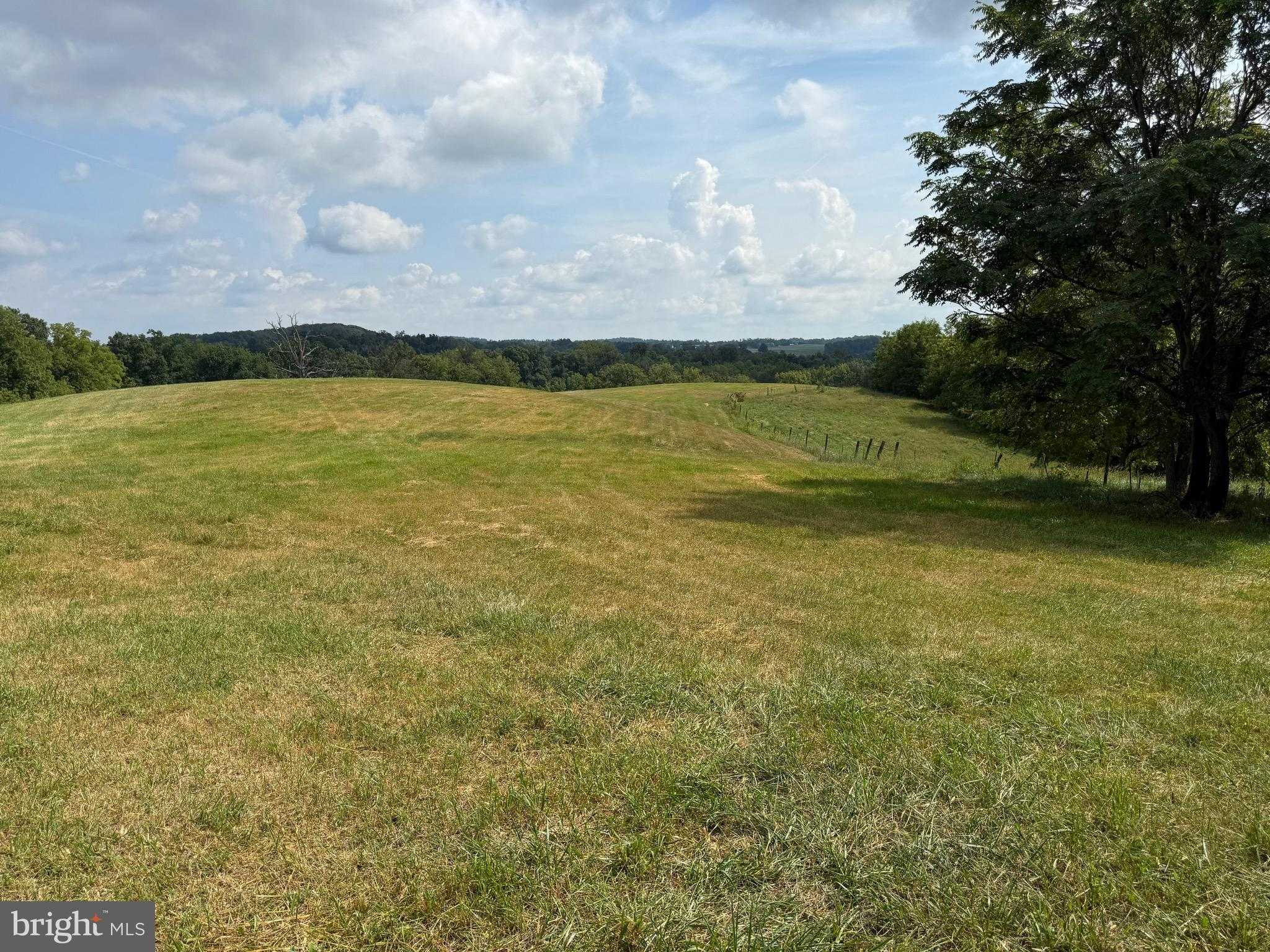 1309 Trevanion Rd photo 61