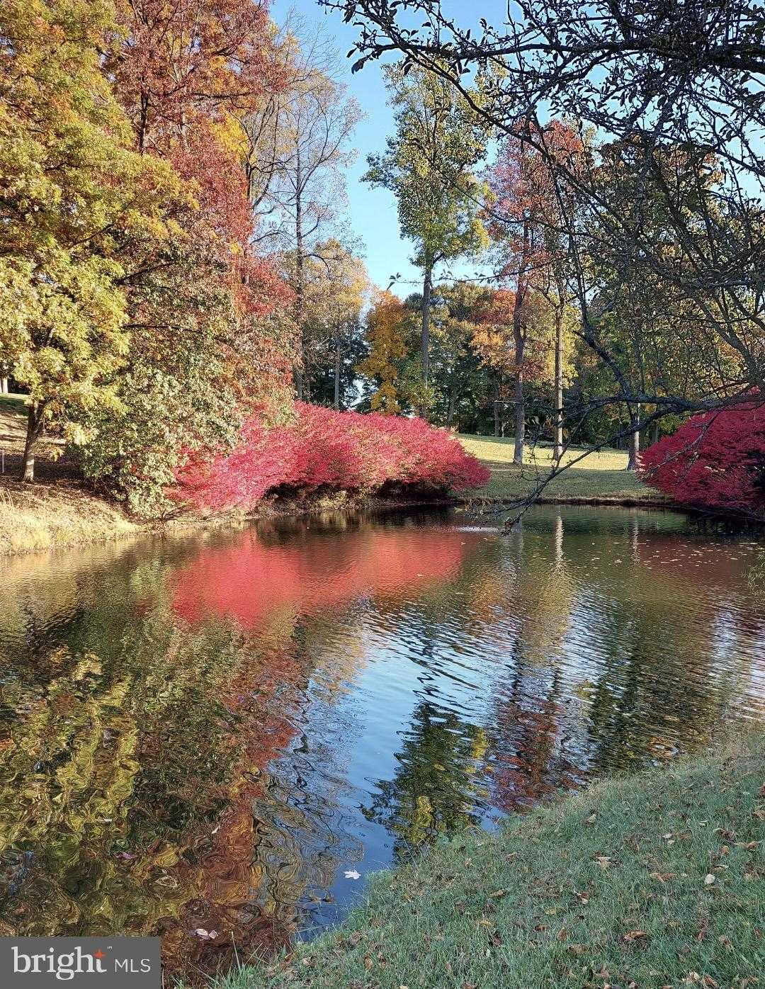 15101 Interlachen Dr # 1-807 photo 43