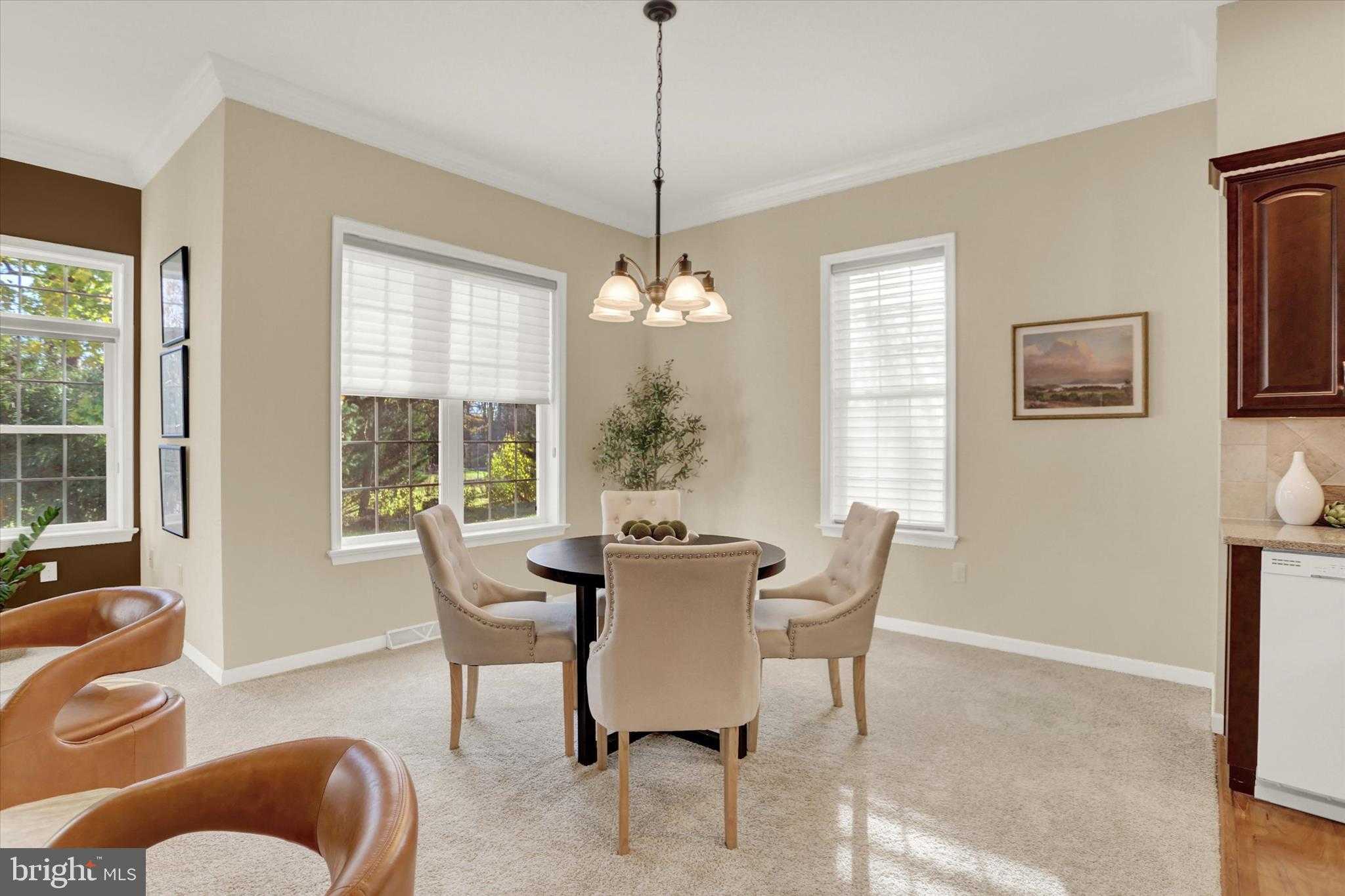 226 Carmella Dr photo 14