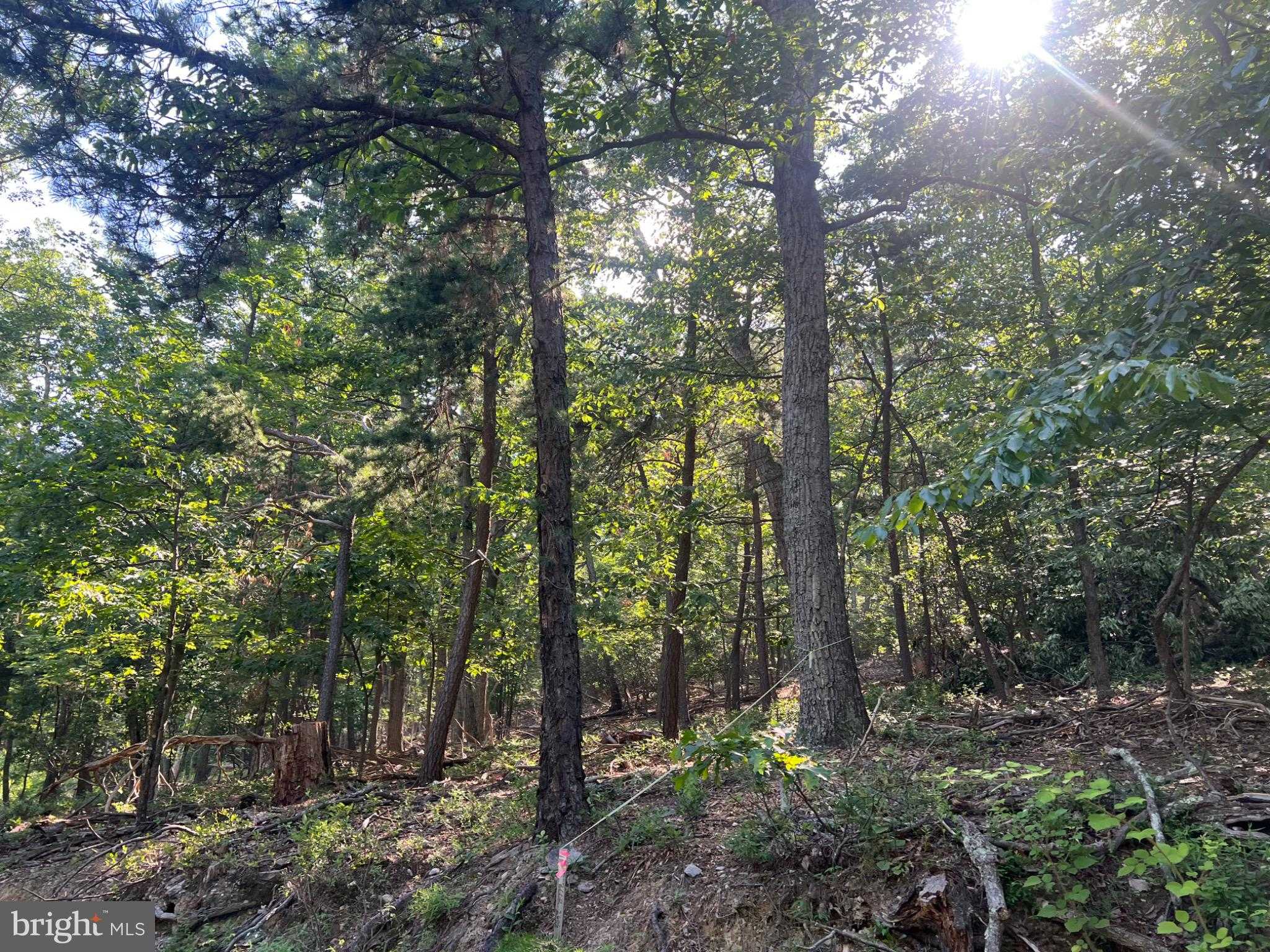 2608 Jackson Dr photo 5