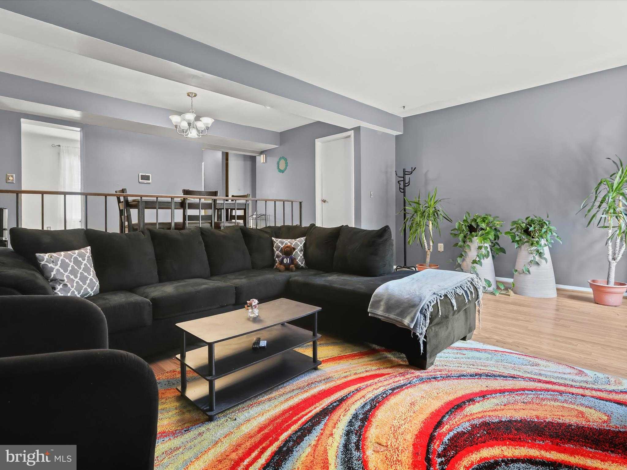 7 Medici CT photo 12