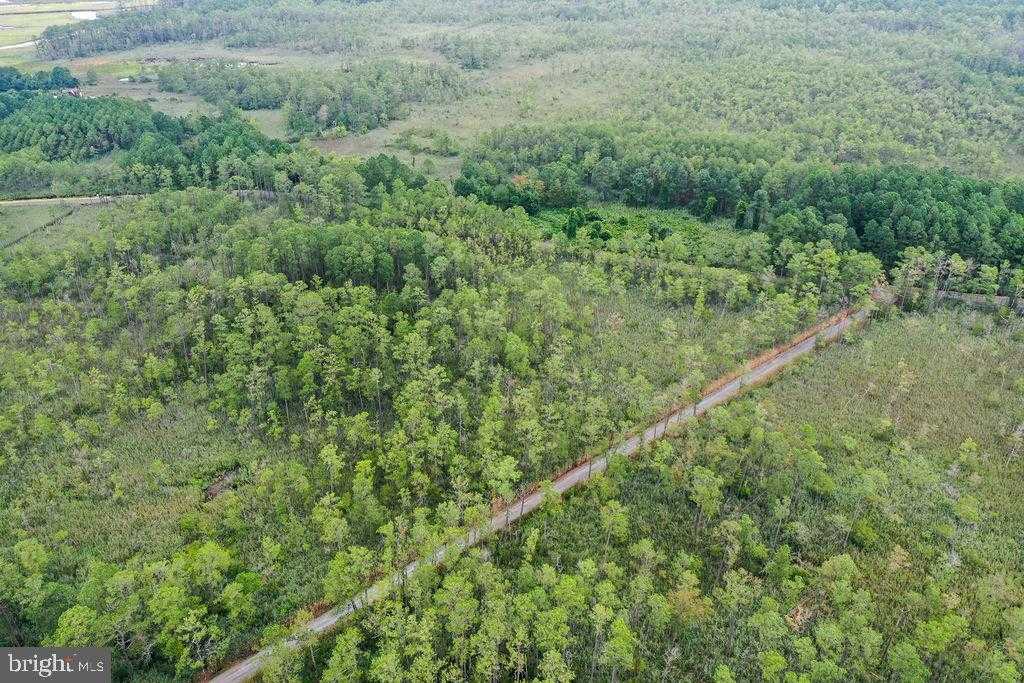 30371 Marumsco Rd photo 11