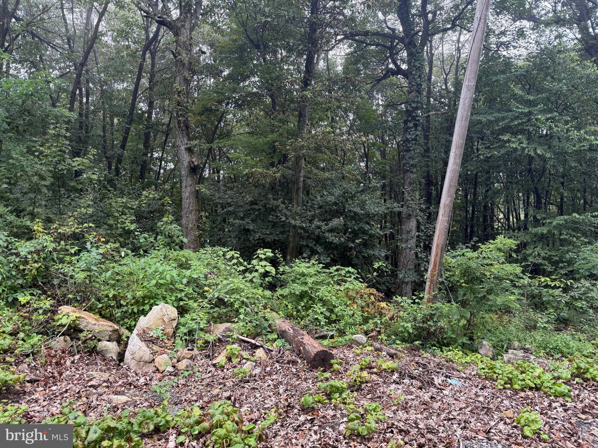 Pinnacle Rd photo 50