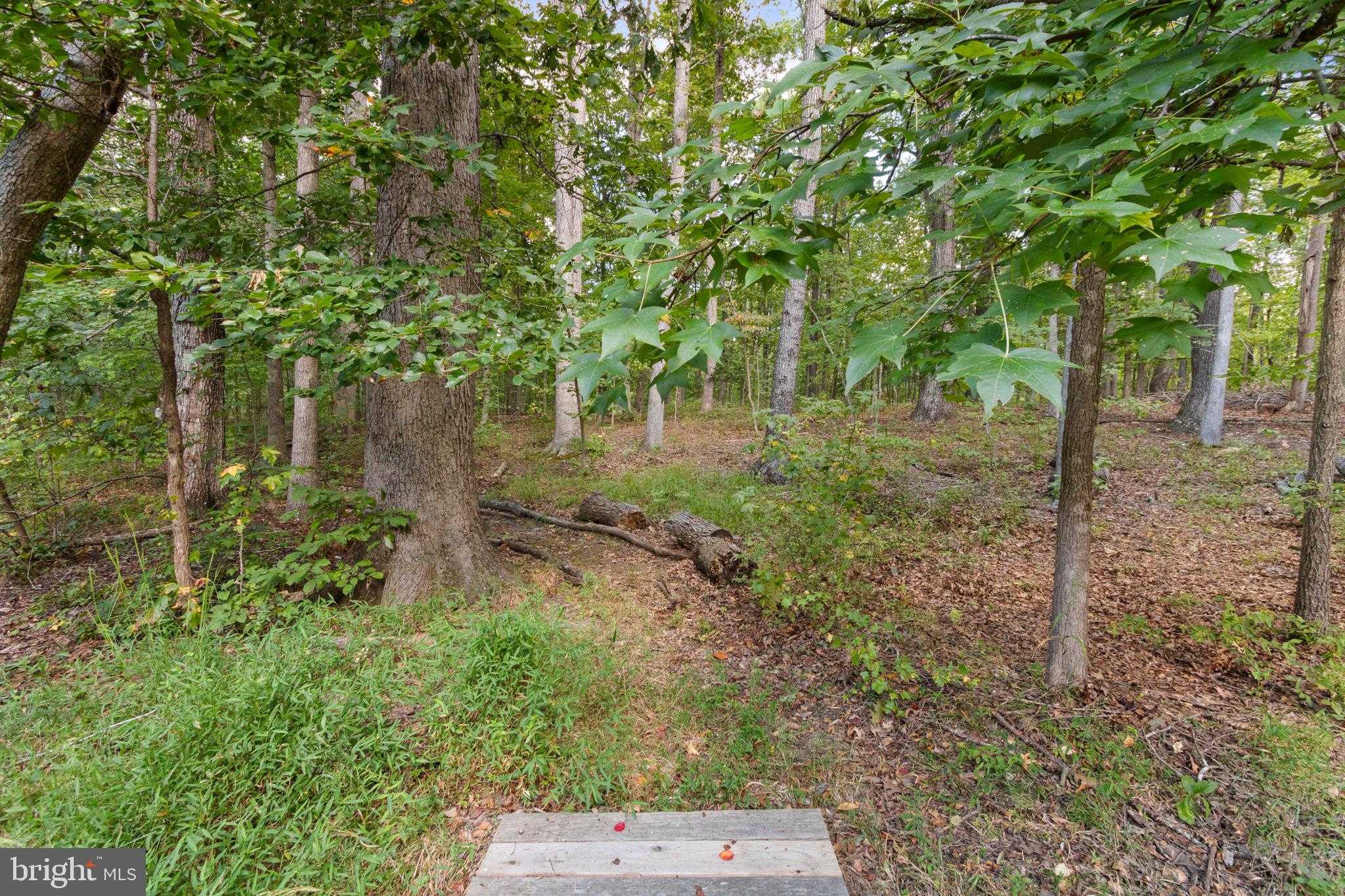 11913 Old Hickory CT photo 55